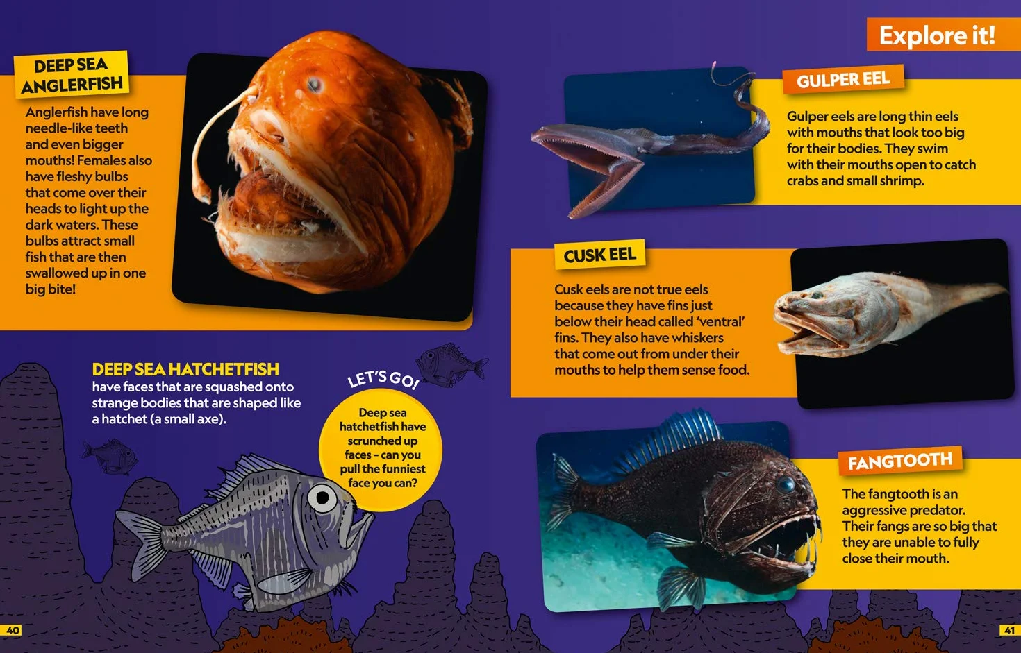 Oceans Find it! Explore it!: More than 250 things to find, facts and photos