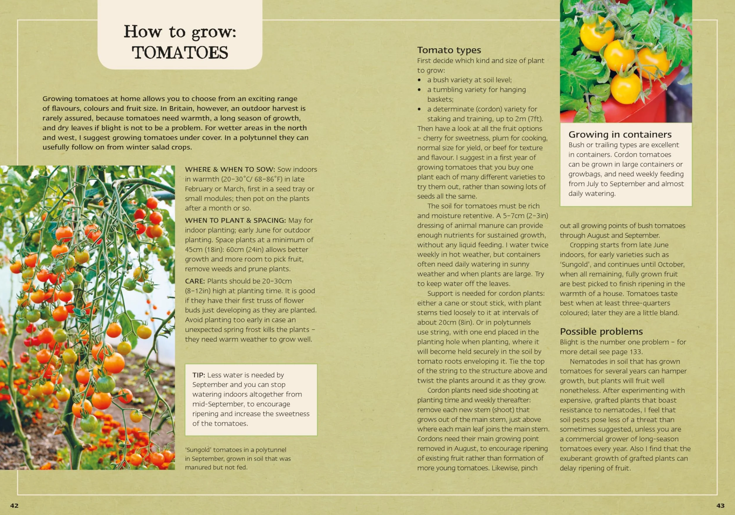Charles Dowding's Veg Journal: Expert No-Dig Advice Month by Month