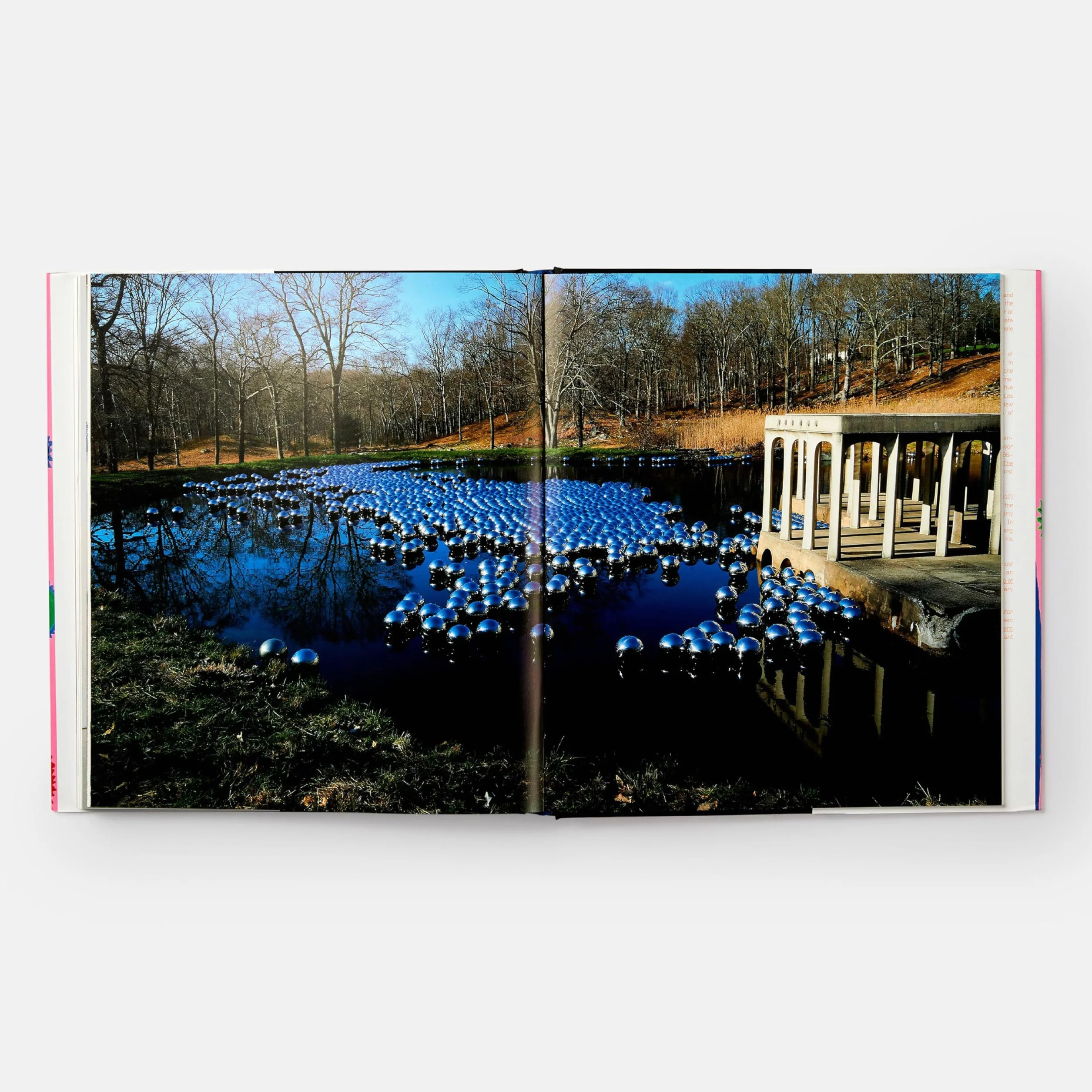 Yayoi Kusama: Revised & Expanded Edition