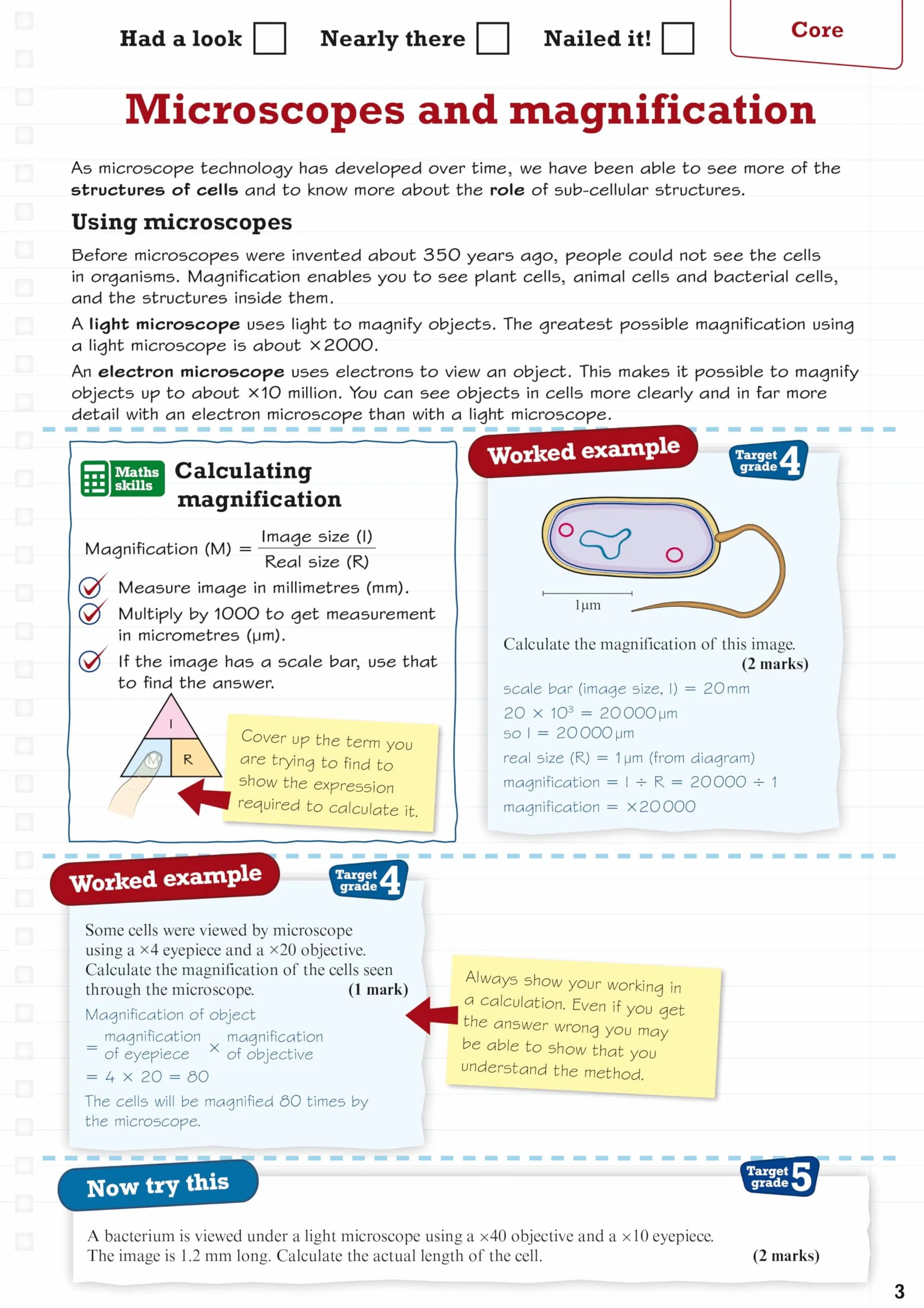 Revise Edexcel GCSE (9-1) Biology Higher Revision Guide: (with free online edition)