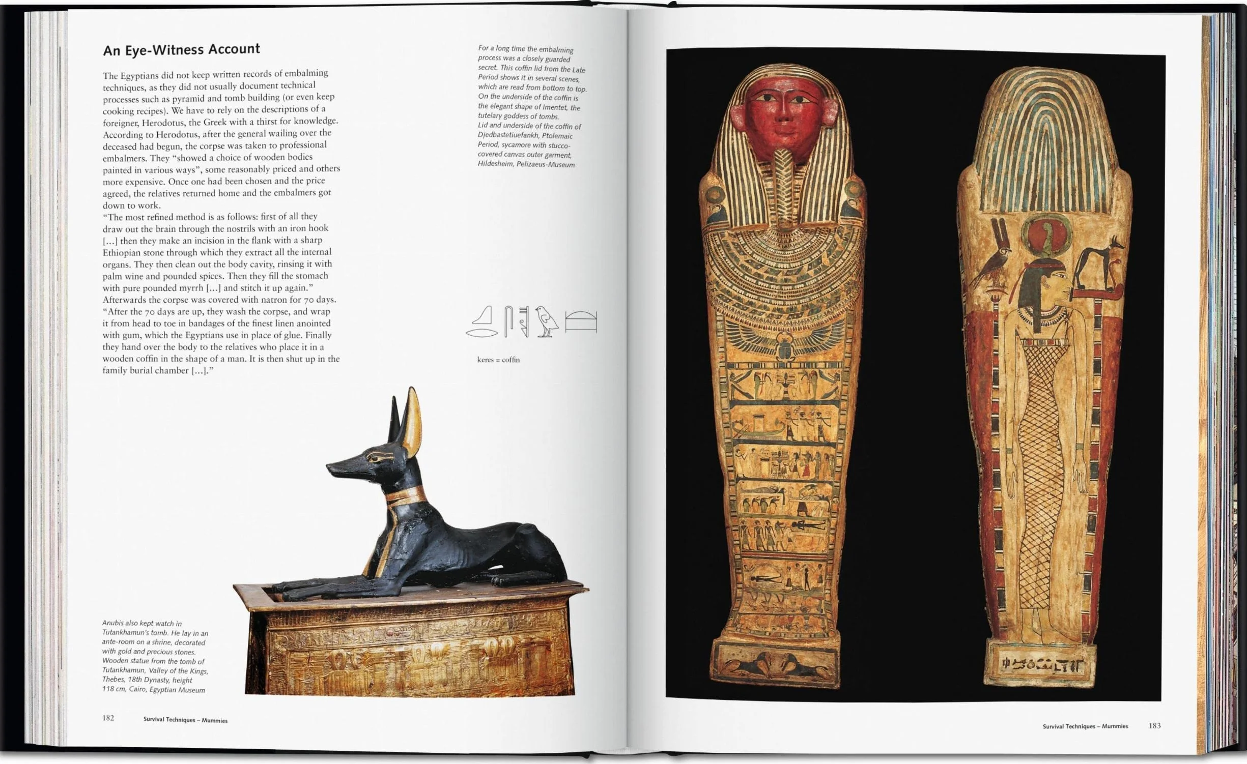 JU-Egypte: People, Gods, Pharaohs -anglais-