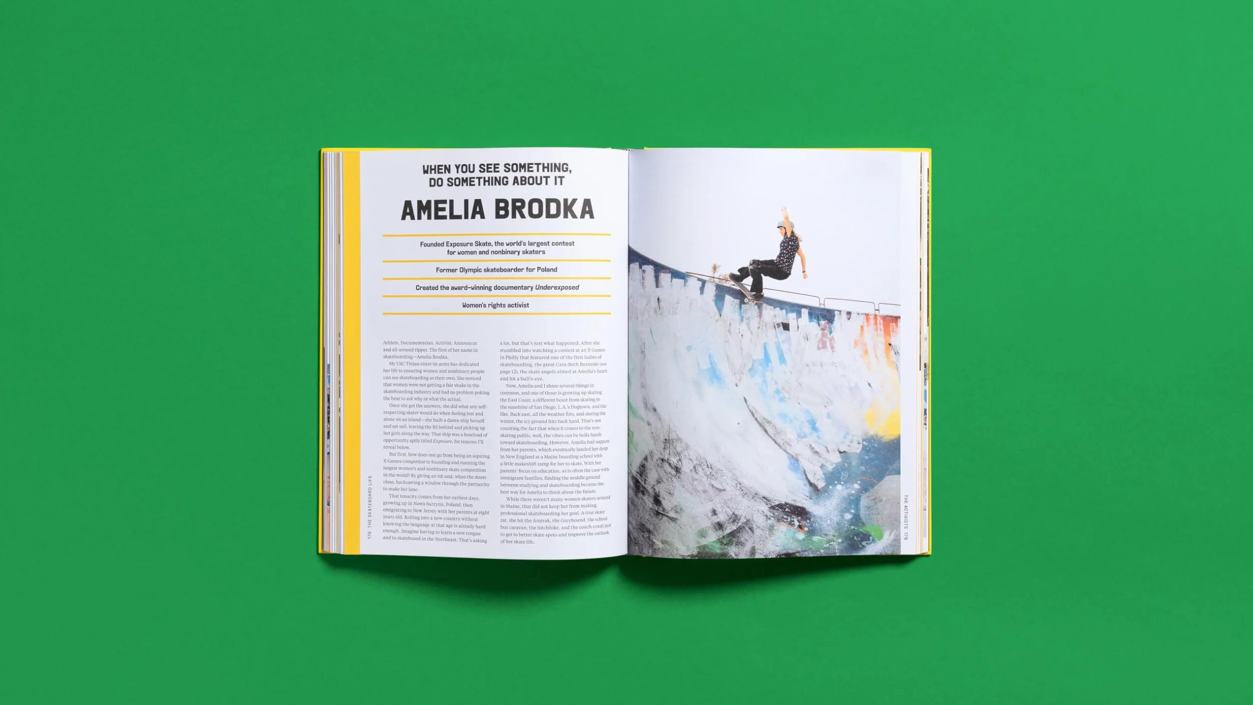 The Skateboard Life: Movers, Shakers, Makers & Rulebreakers – Skateboard Culture Quintessential Story