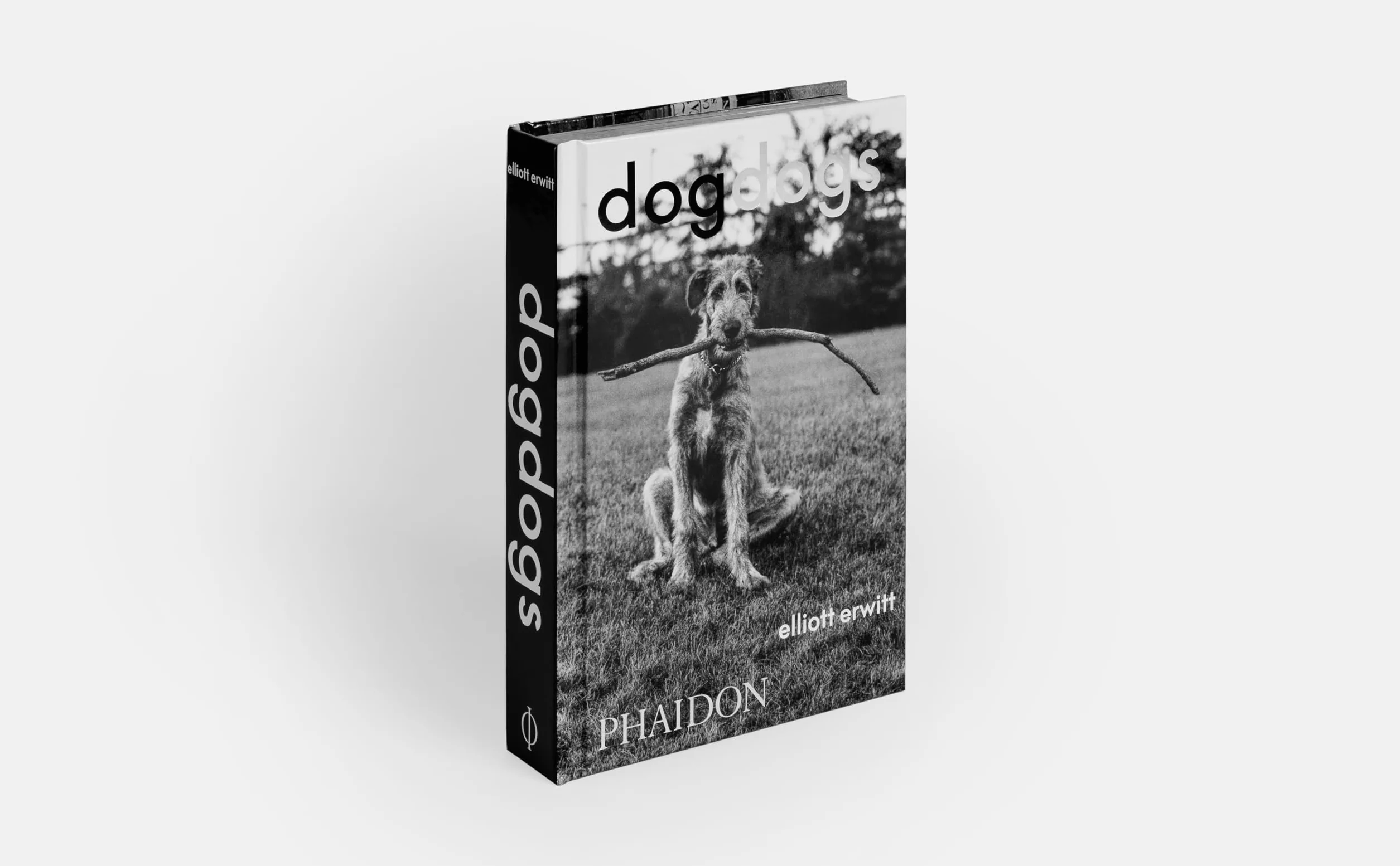DogDogs