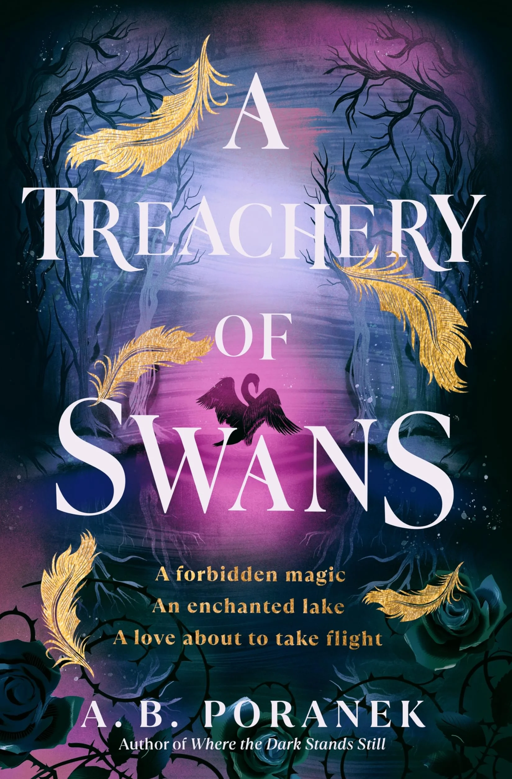 A Treachery of Swans: A dark, enchanting YA romantasy from the author of Where the Dark Stands Still