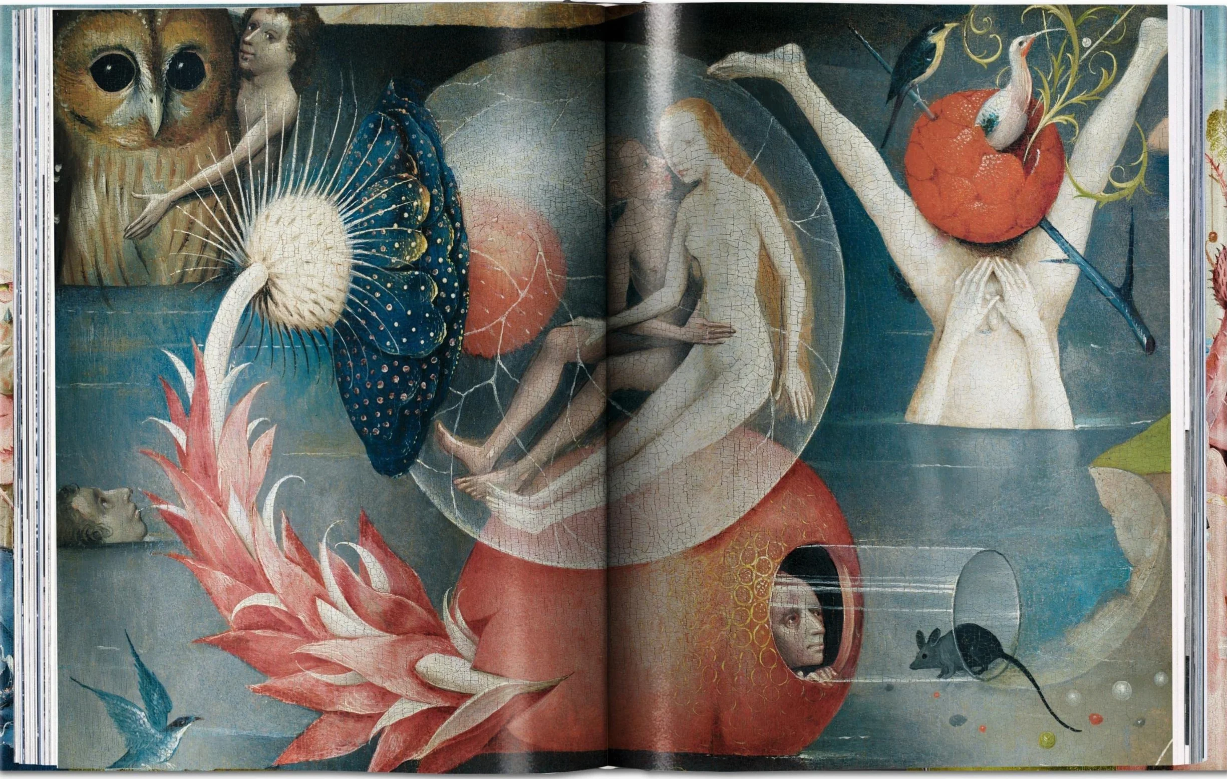 Hieronymus Bosch The Complete Work