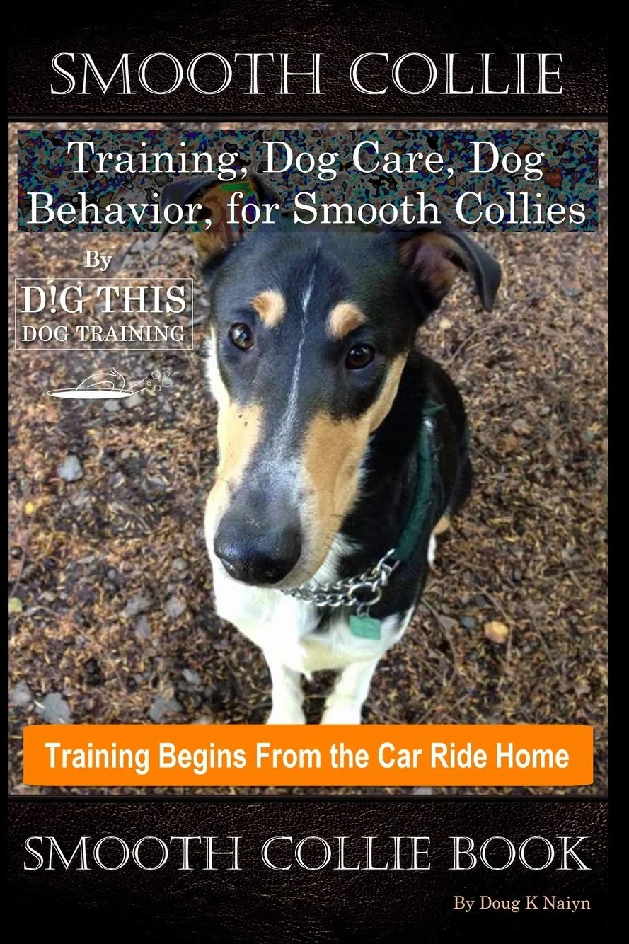 Smooth Collie Training, Dog Care, Dog Behavior, for Smooth Collies By D!G THIS DOG Training, Dog Training Begins From the Car Ride Home, Smooth Collie Book