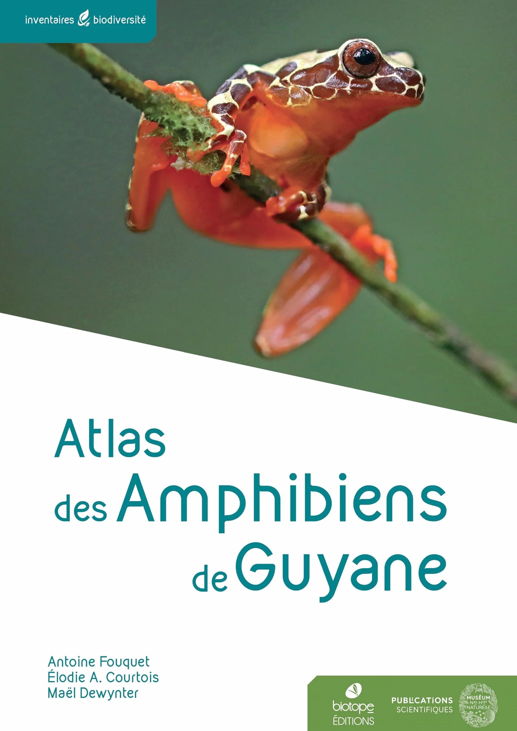 Atlas des Amphibiens de Guyane