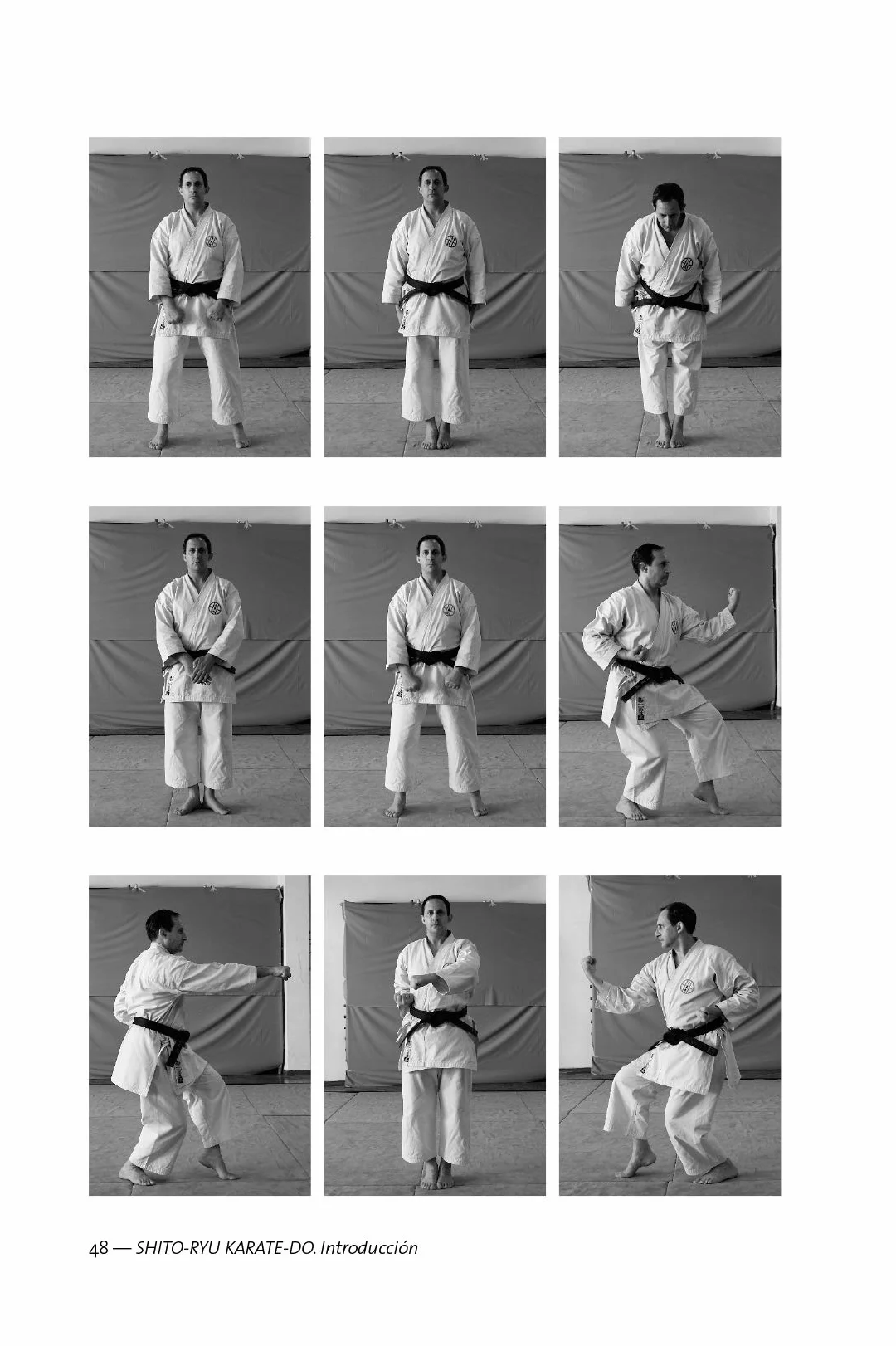 Shito-ryu karate-do