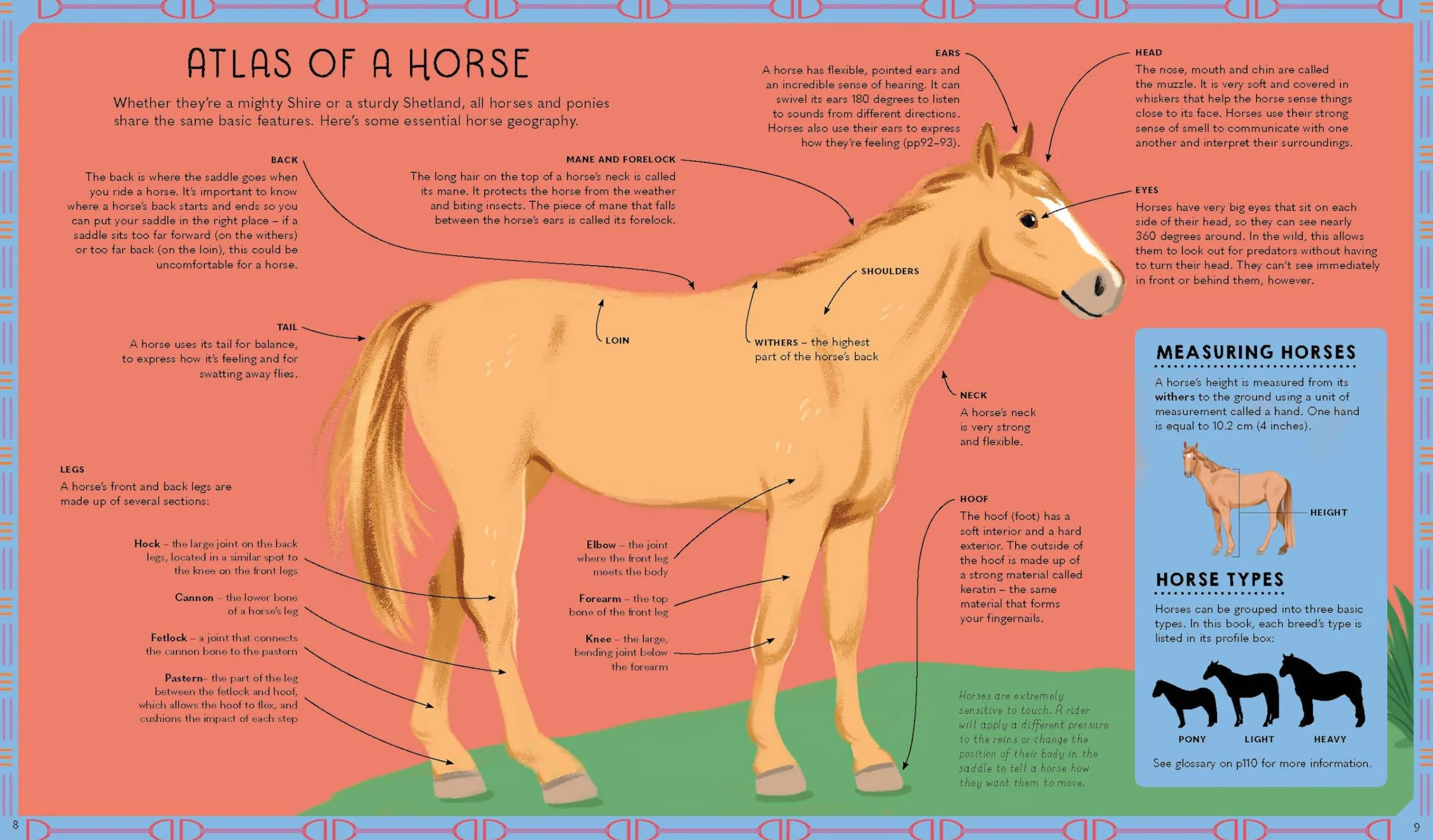 Atlas of Horses and Ponies: 100 Amazing Breeds From Around the World Fun Features Illustrations Learn About Super Senses Fascinating Facts