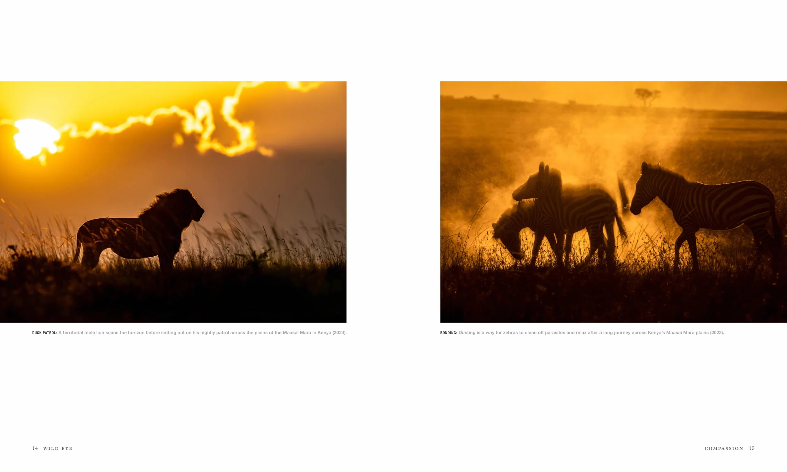 Wild Eye: A Life in Photographs
