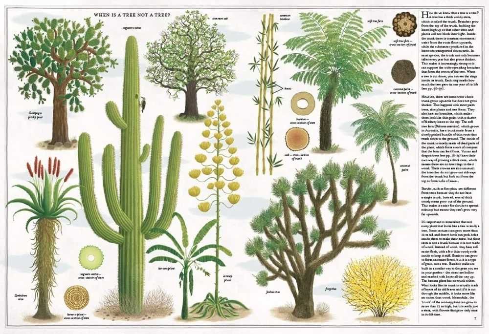 The Book of Trees