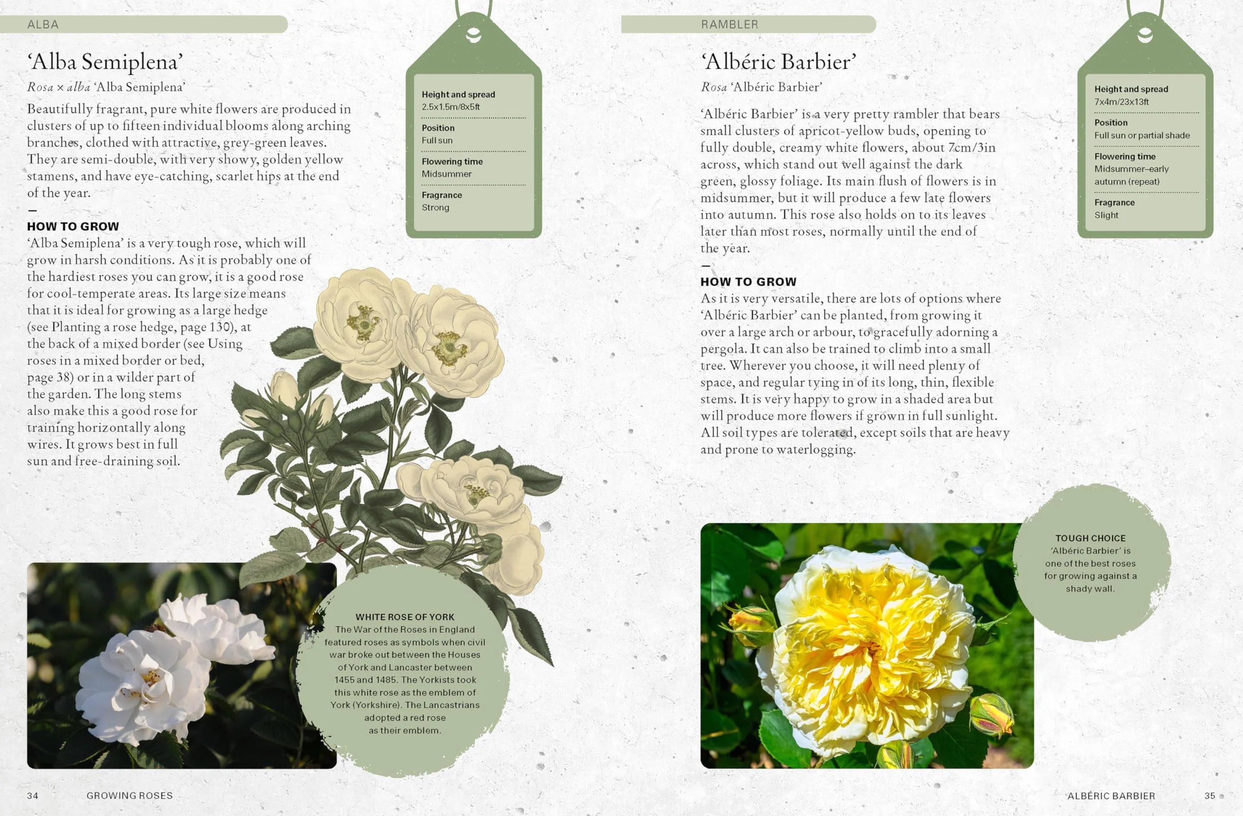 The Kew Gardener's Guide to Growing Roses: The Art and Science to Grow with Confidence: 8