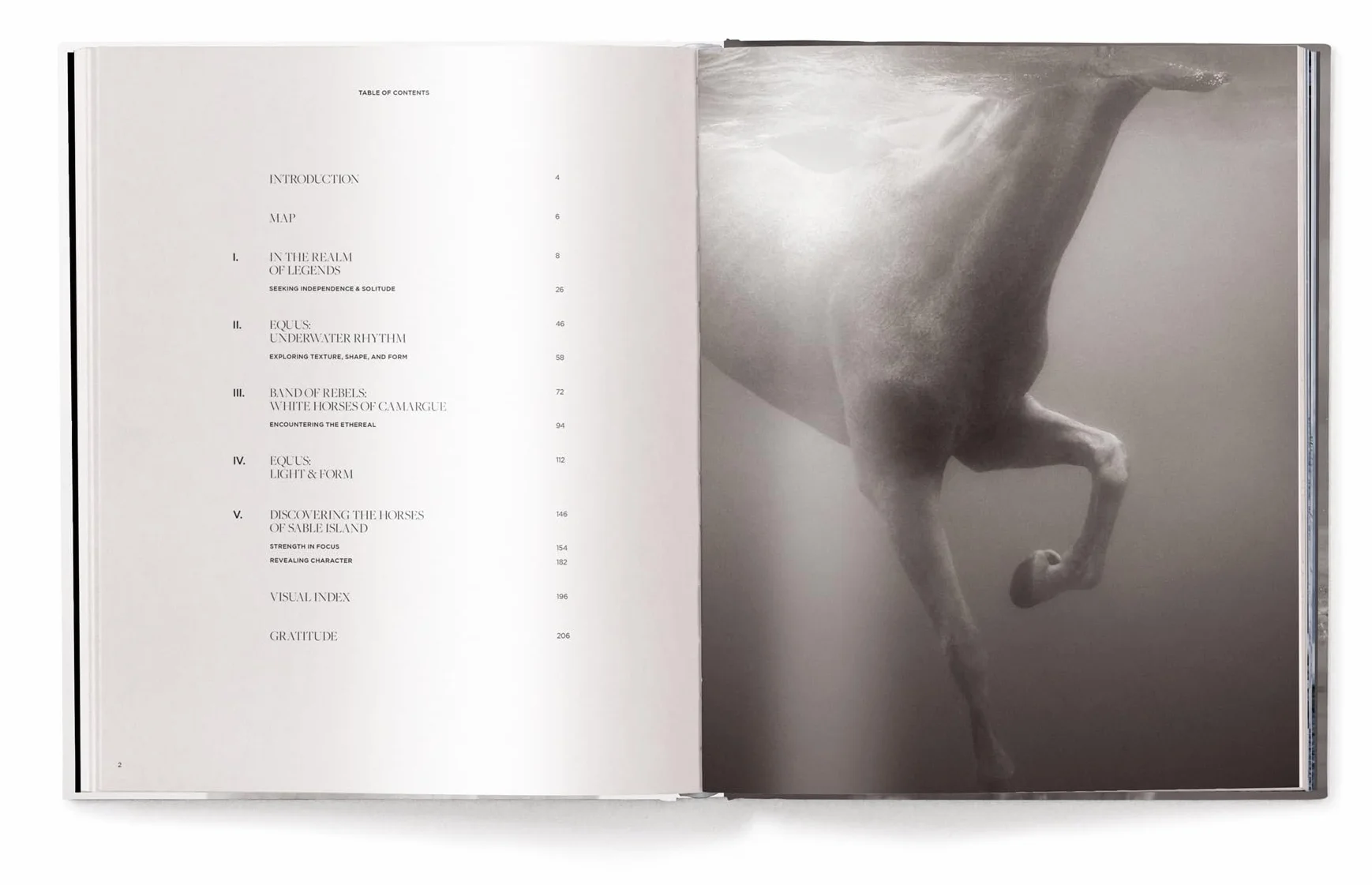Untamed Spirits: Horses from Around the World