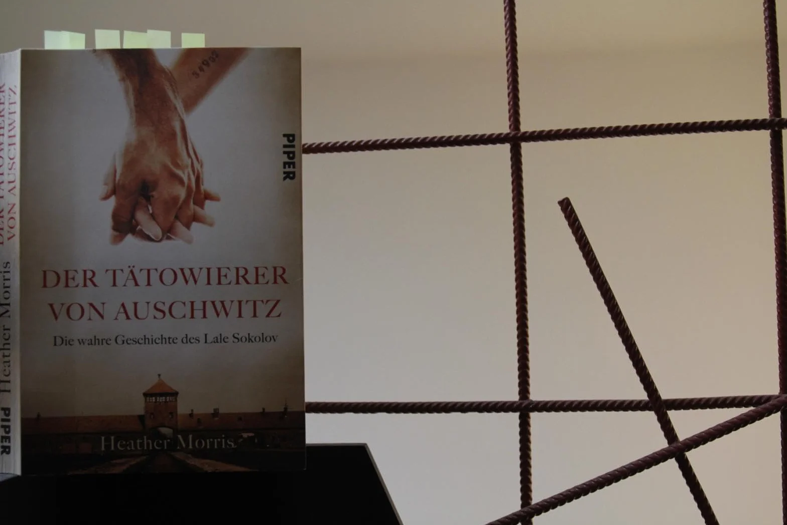Der Tätowierer von Auschwitz: Die wahre Geschichte des Lale Sokolov