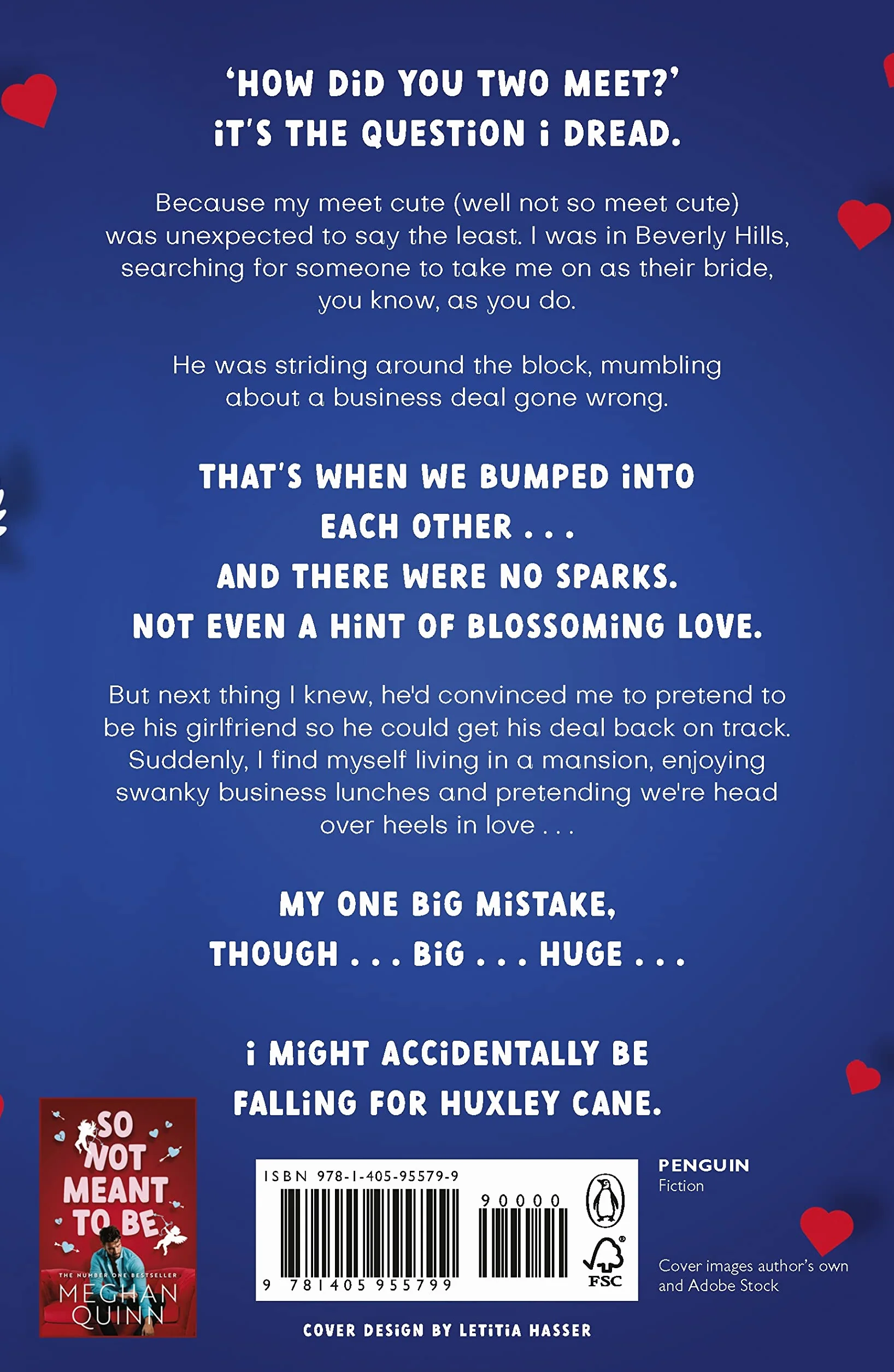 A Not So Meet Cute: The steamy and addictive romcom inspired by Pretty Woman from the bestselling author