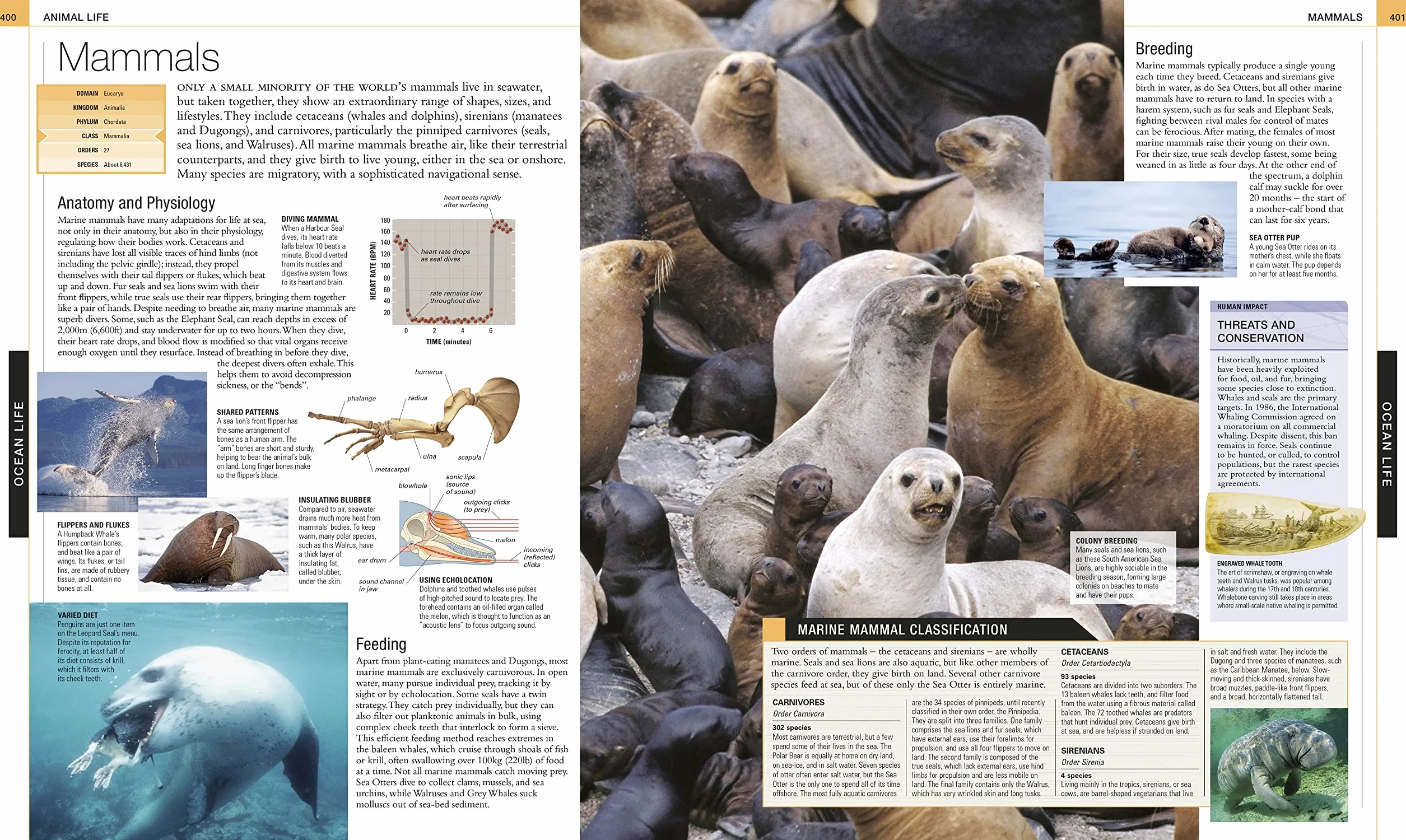 Ocean: The Definitive Visual Guide