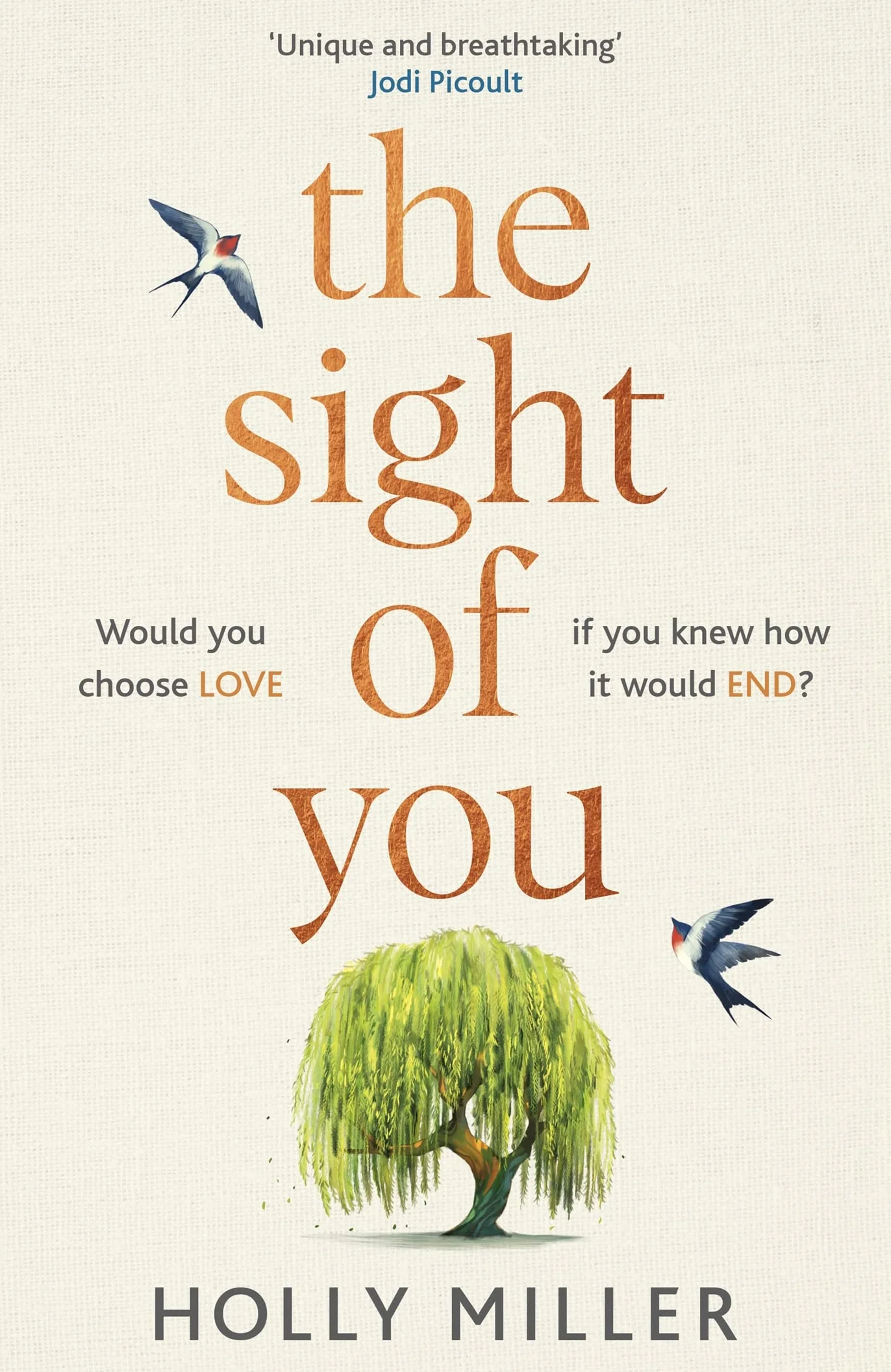 The Sight of You: Richard & Judy Book Club Pick Love Story