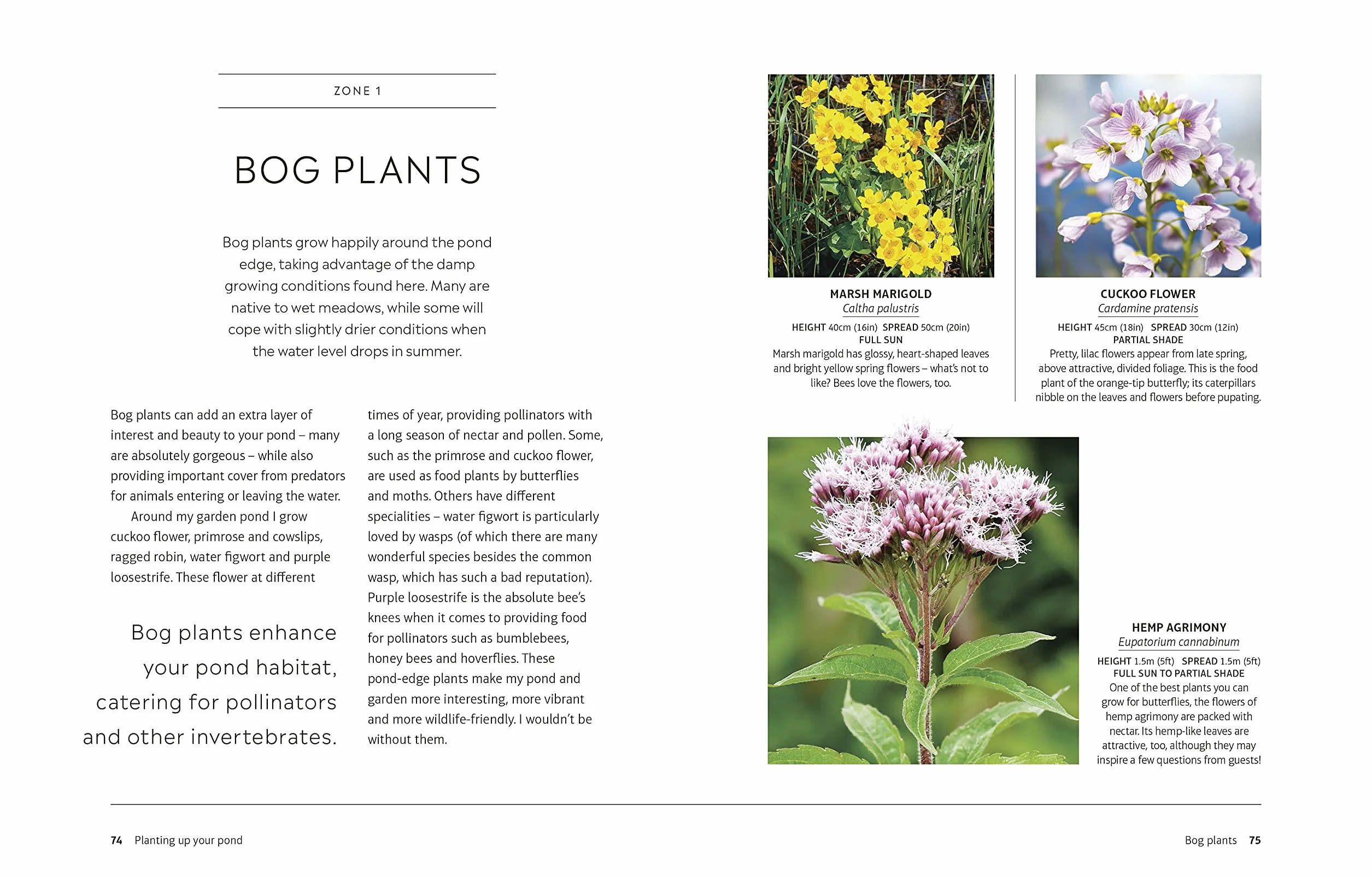 RHS How to Create a Wildlife Pond: Plan, Dig, and Enjoy a Natural Pond