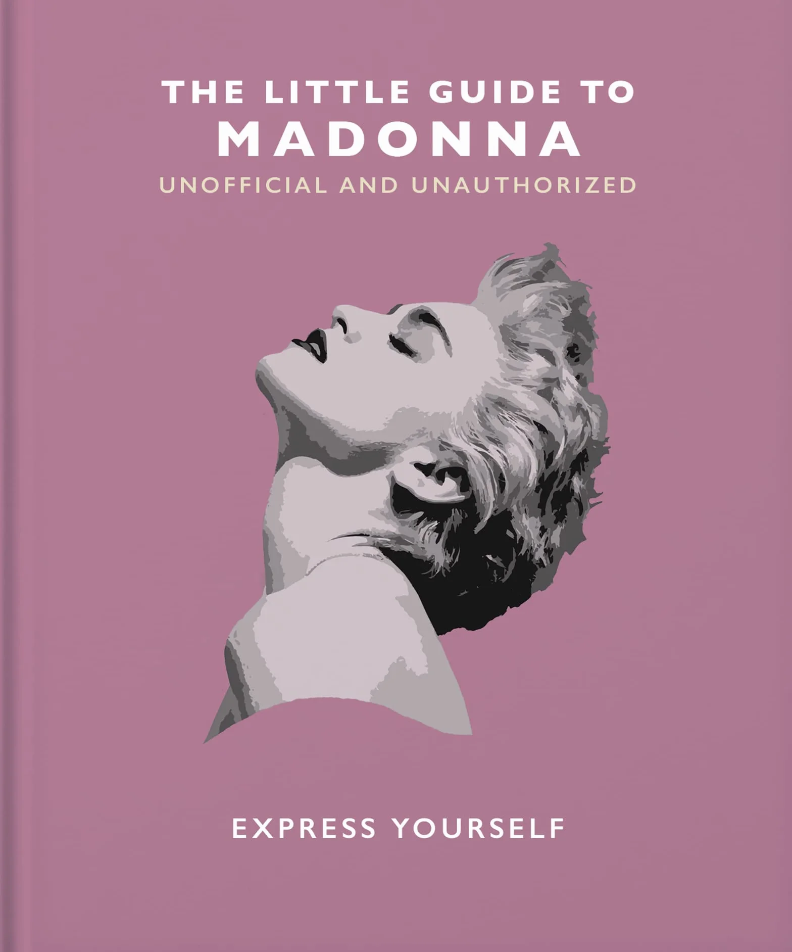 The Little Guide to Madonna: Express Yourself