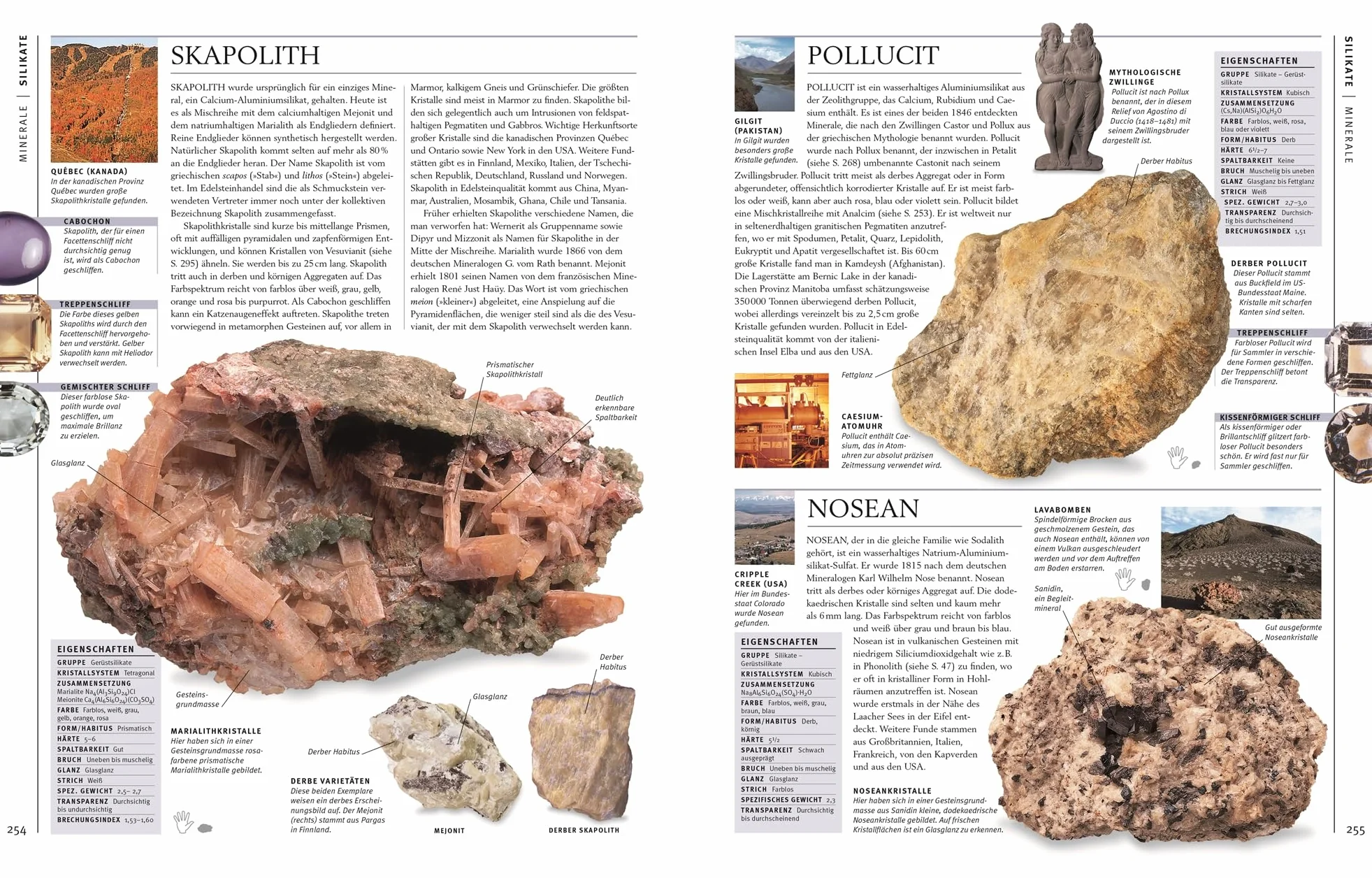 Steine & Mineralien: Über 500 Gesteine, Minerale, Edelsteine und Fossilien - 1200 Farbfotos