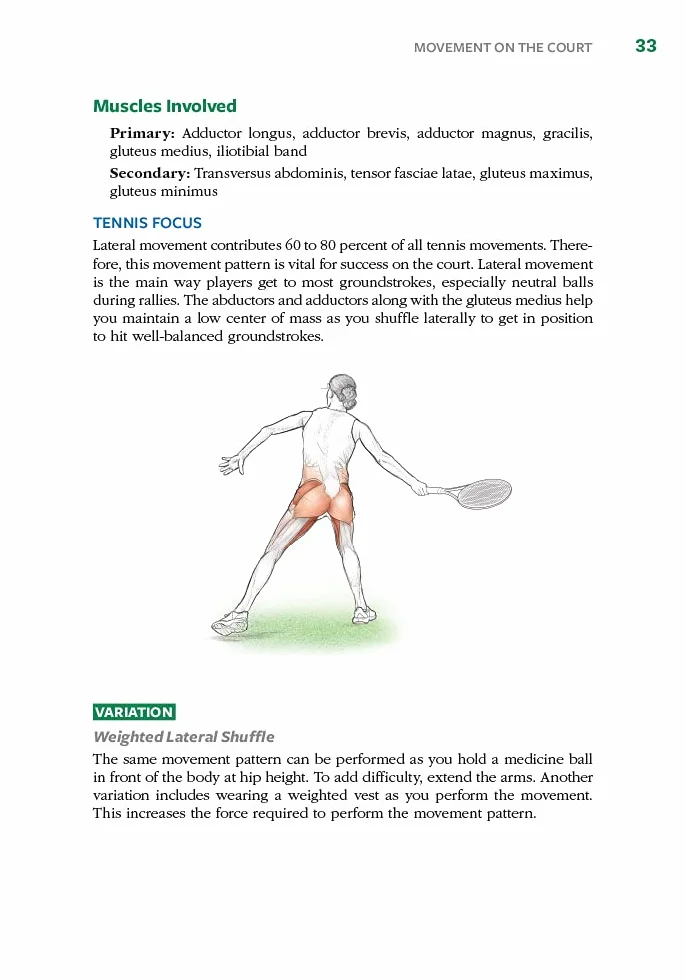 Tennis Anatomy