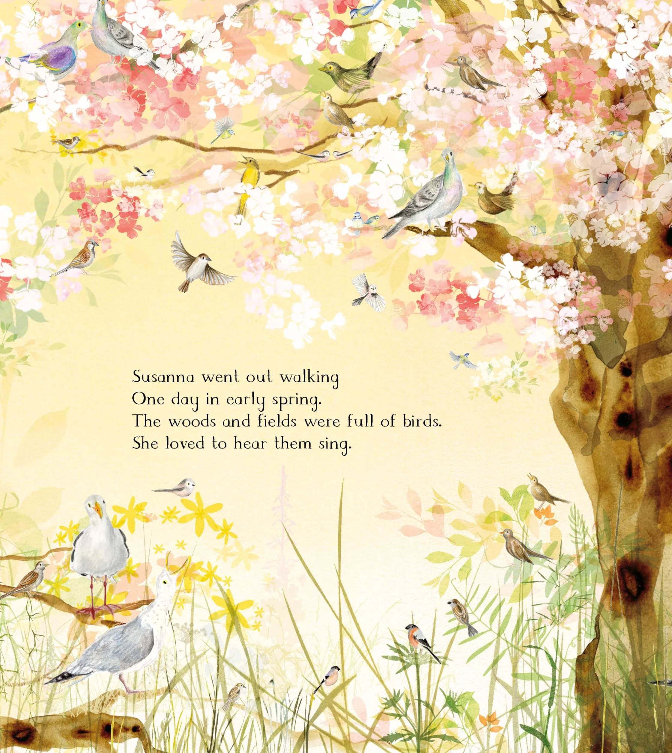 The Magic Feather