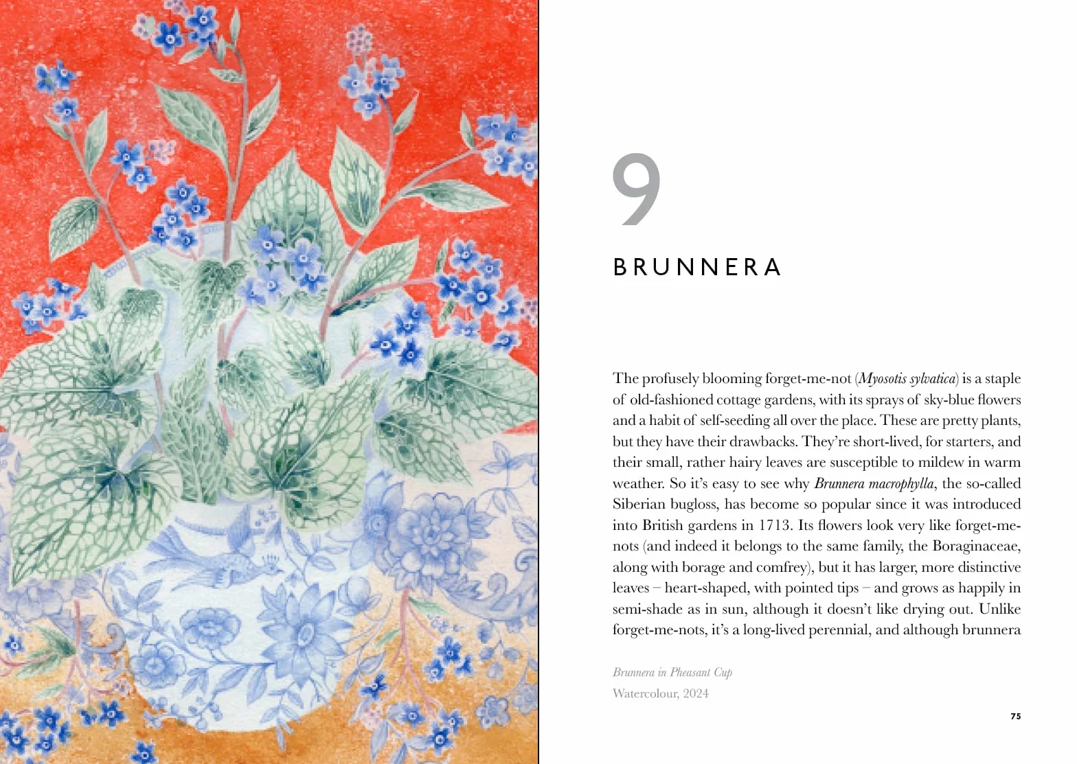 The Book of Garden Flowers