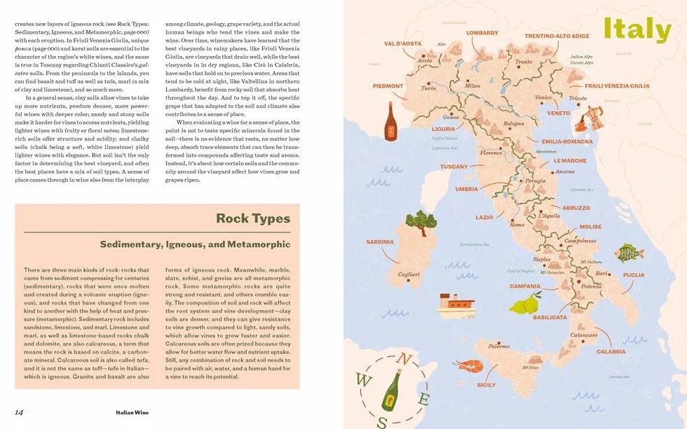 Italian Wine History, Regions, and Grapes of an Iconic Wine Country
