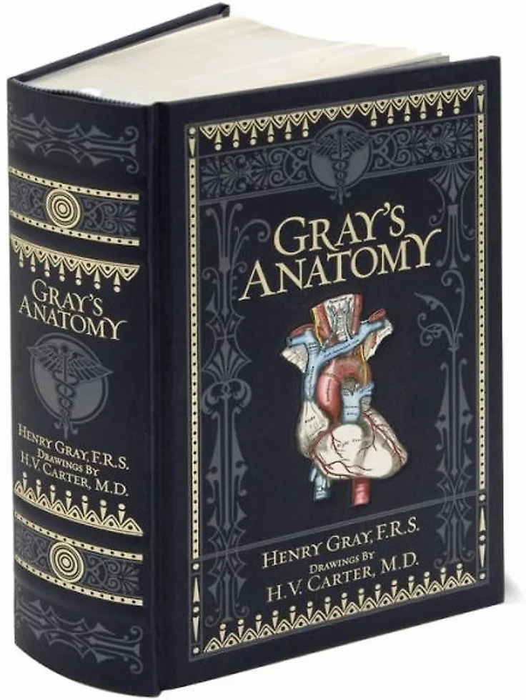 Gray's Anatomy: Barnes & Noble Collectible Editions: Barnes & Noble Leatherbound Classic Collection