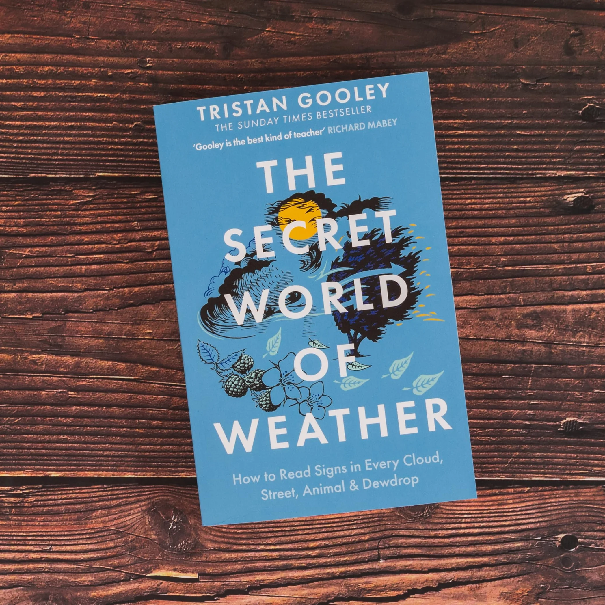 The Secret World of Weather: A Must-Have for Nature Lovers