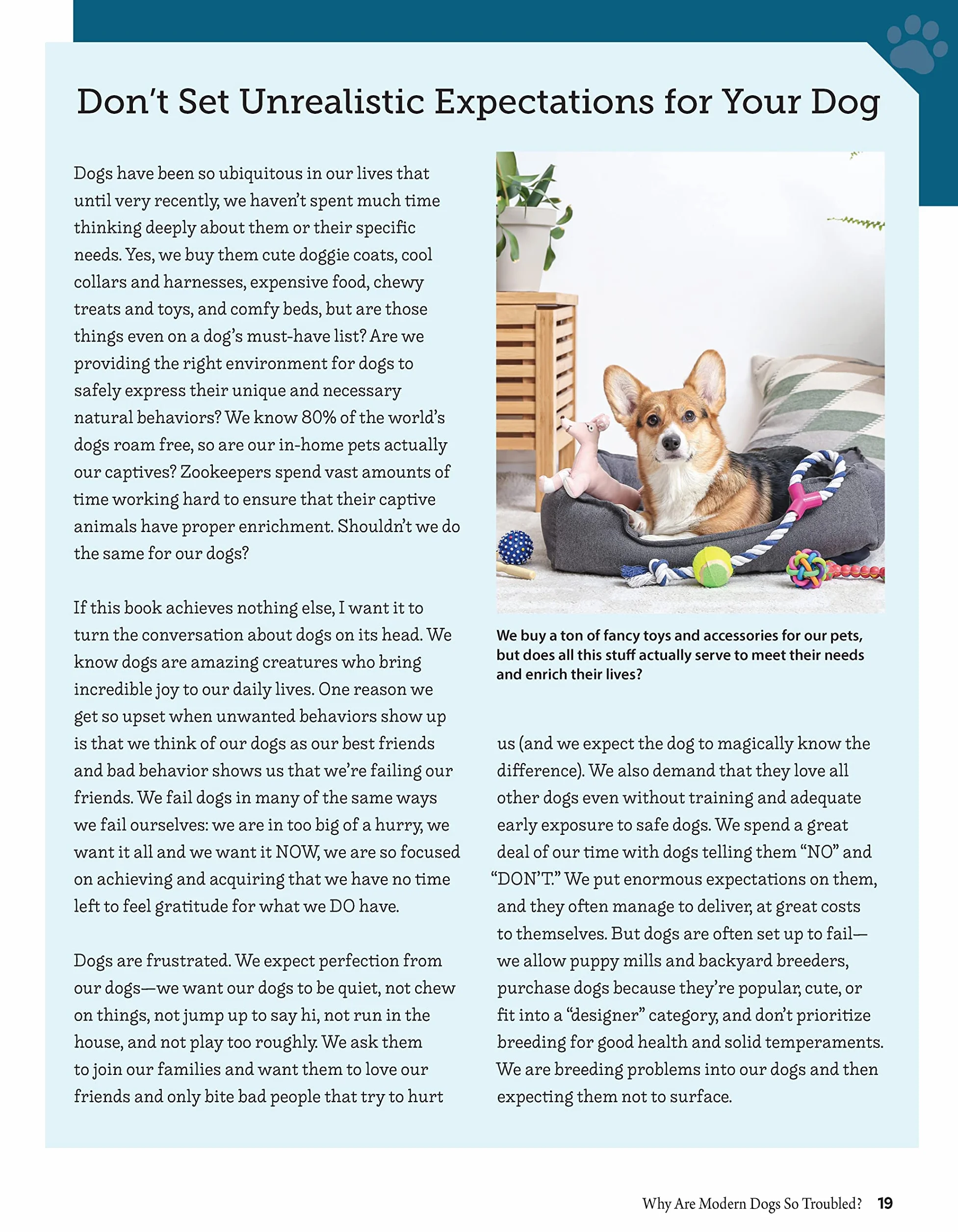 Positive Training for Aggressive and Reactive Dogs: Proven Techniques to Help Your Dog Overcome Fear and Anxiety
