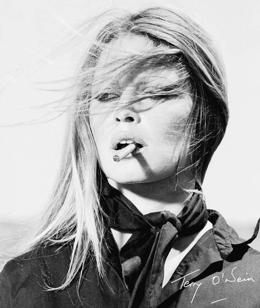 Terry O'Neill The Opus /anglais