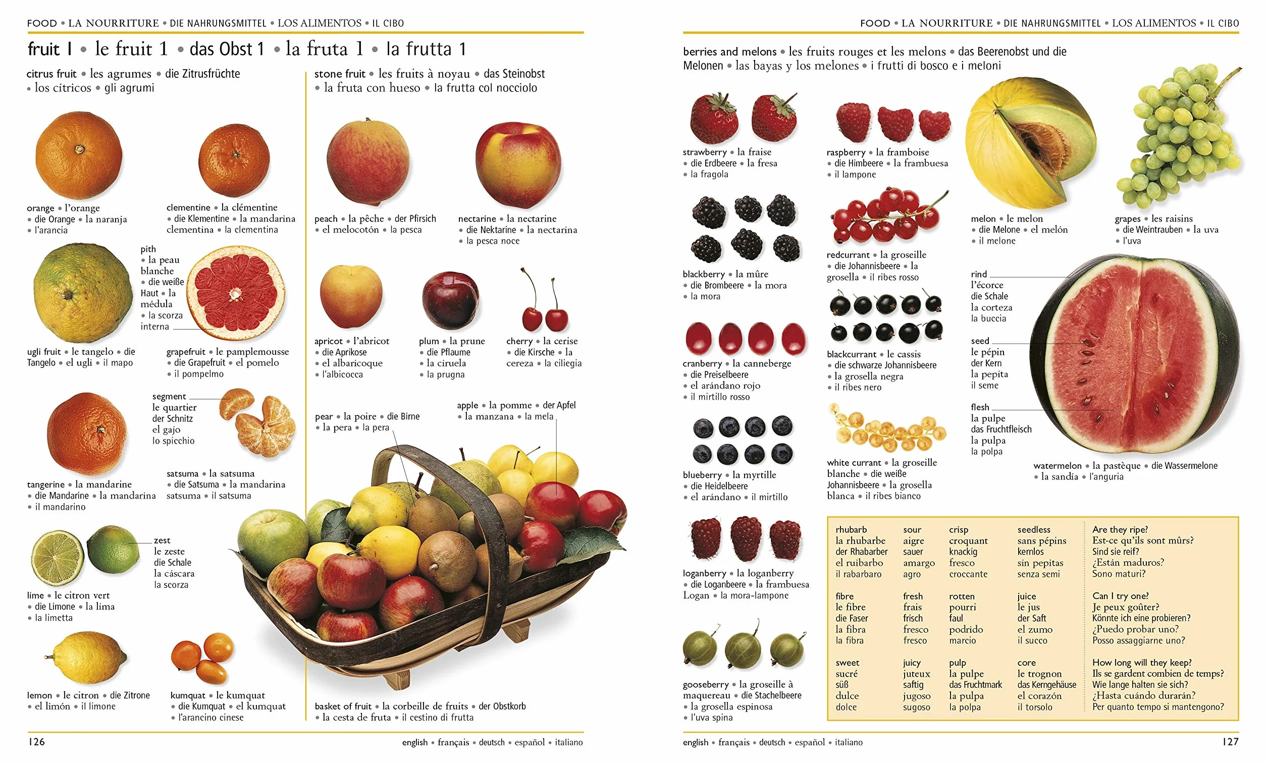 5 Language Visual Dictionary: 6,500 Illustrated Terms in English, French, German, Spanish, Italian