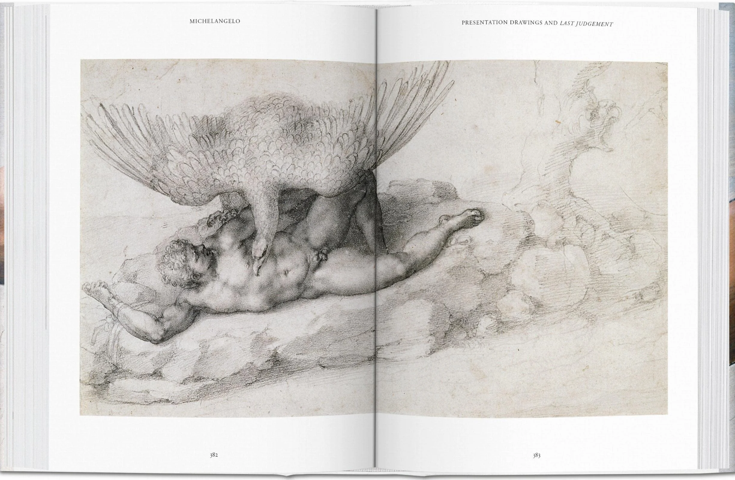 Michelangelo The Complete Paintings, Sculptures and Architecture