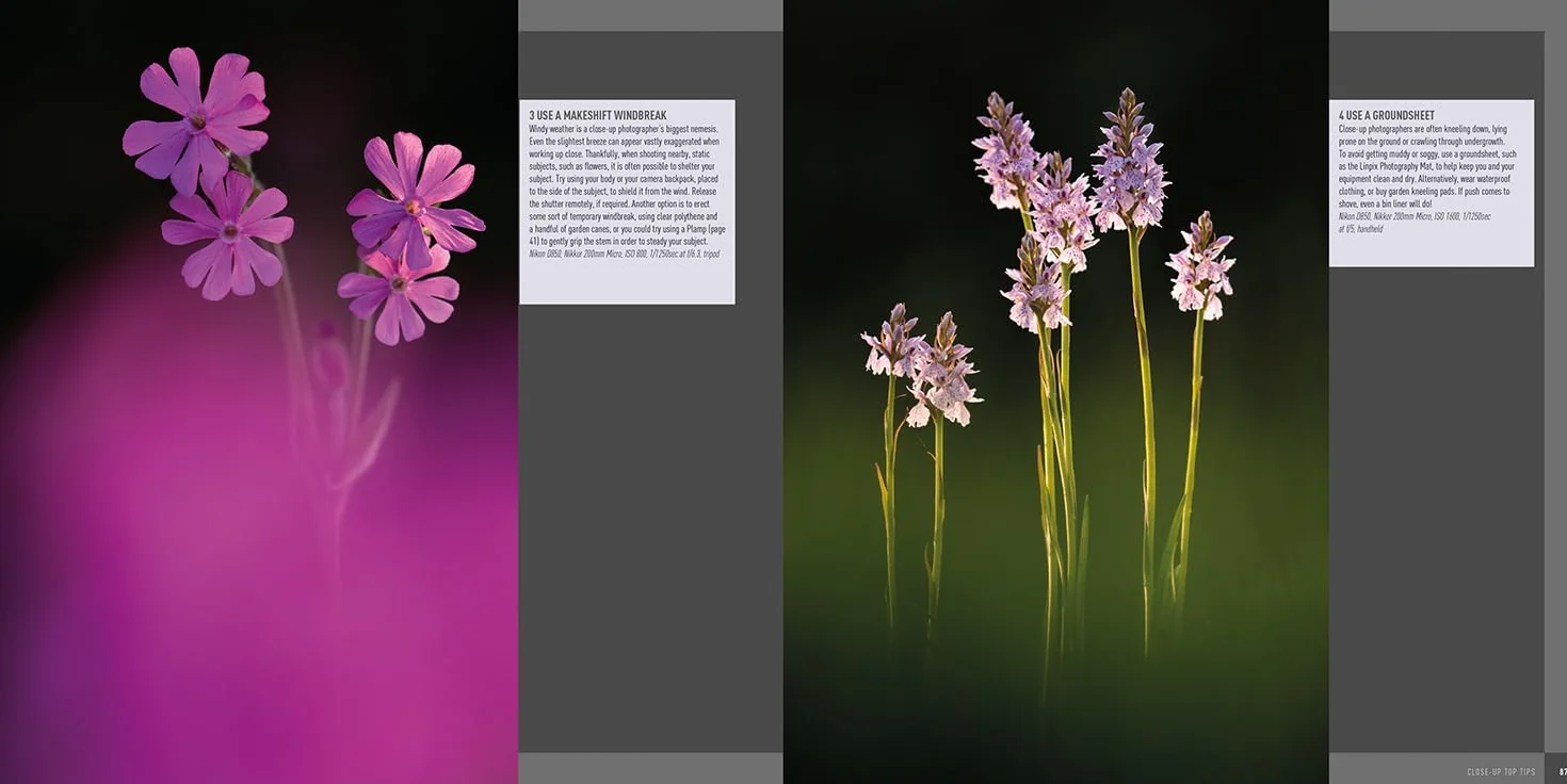 Digital Macro & Close-Up Photography: New Edition