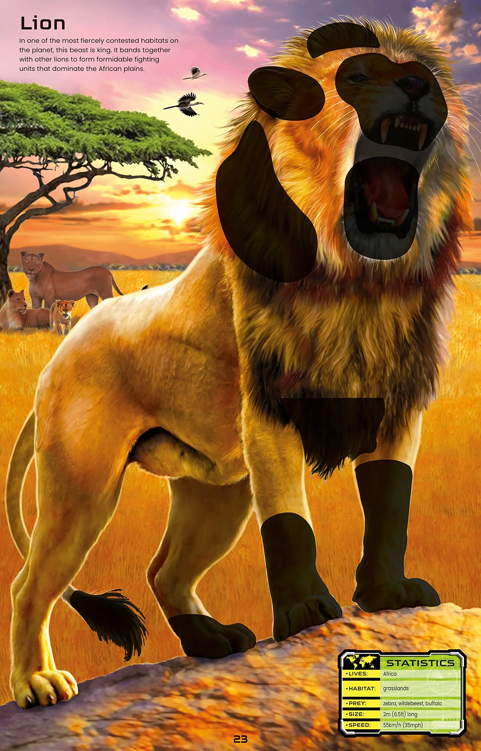 Build Your Own Deadly Animals Sticker Book