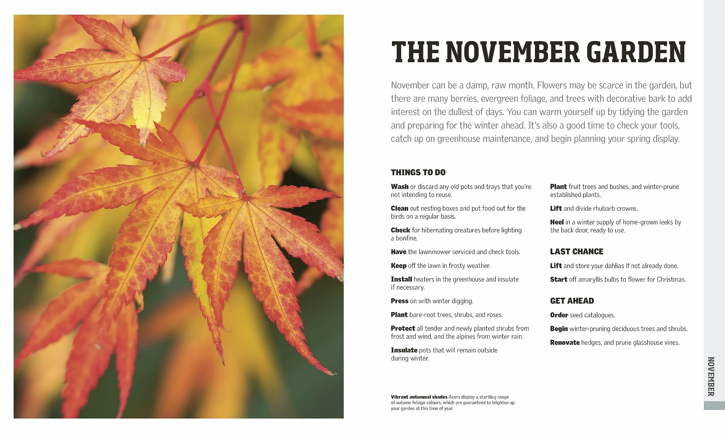 RHS Gardening Through the Year: New Edition Month-by-month Planning Instructions and Inspiration