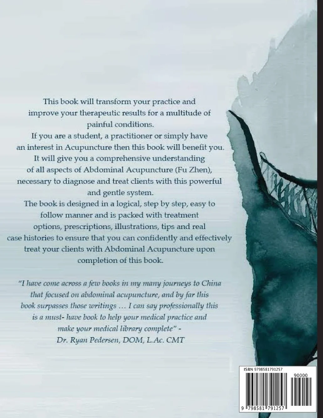 Abdominal Acupuncture: A Concise Guide to Treating Painful Conditions