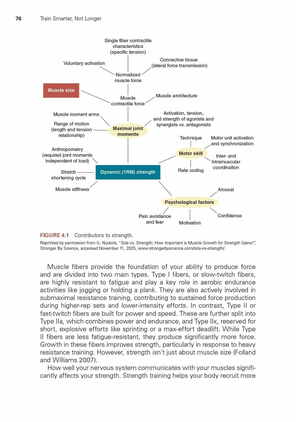 Minimum Effective Dose for Muscular Development