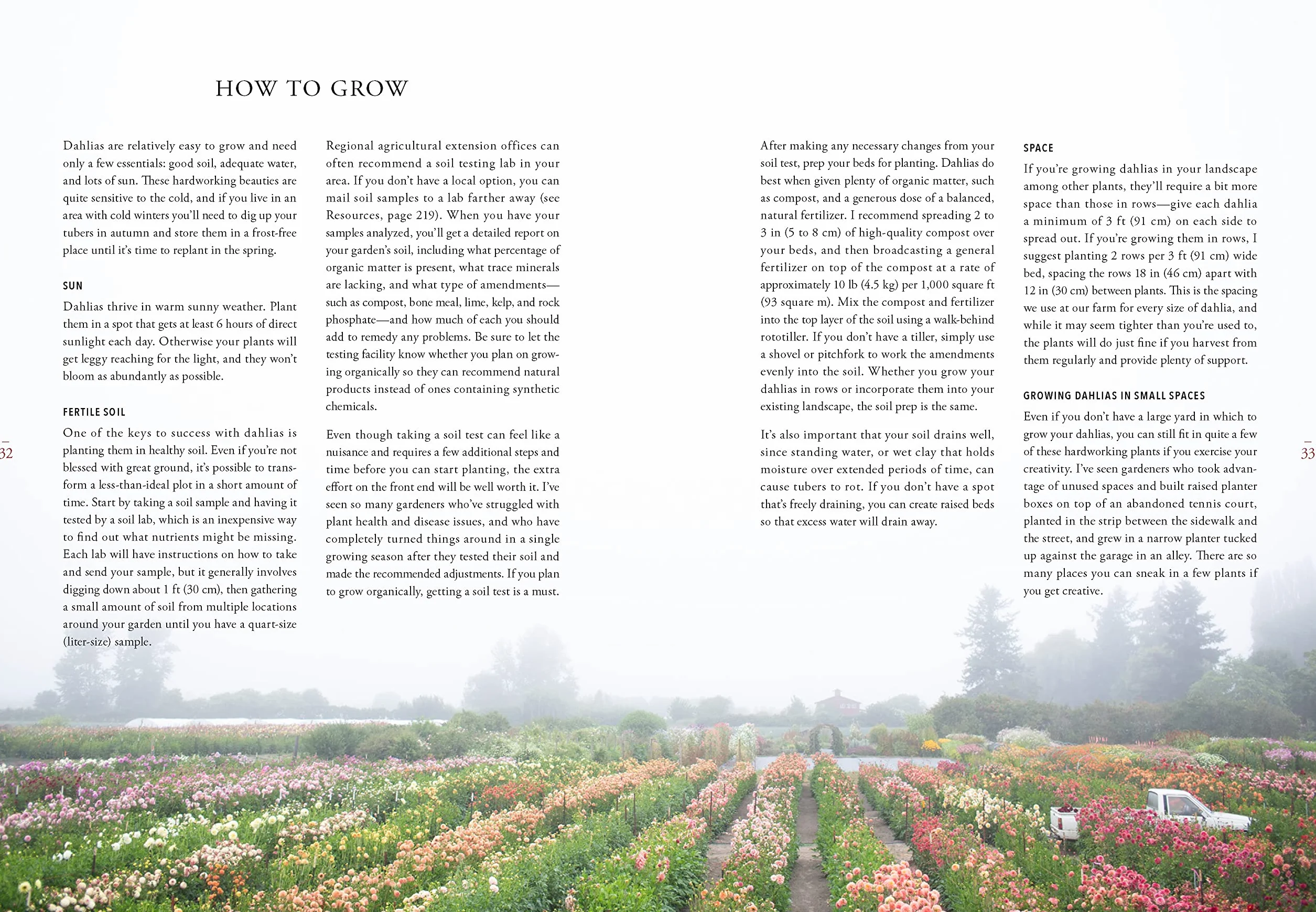 Floret Farm's Discovering Dahlias: A Guide to Growing and Arranging Magnificent Blooms