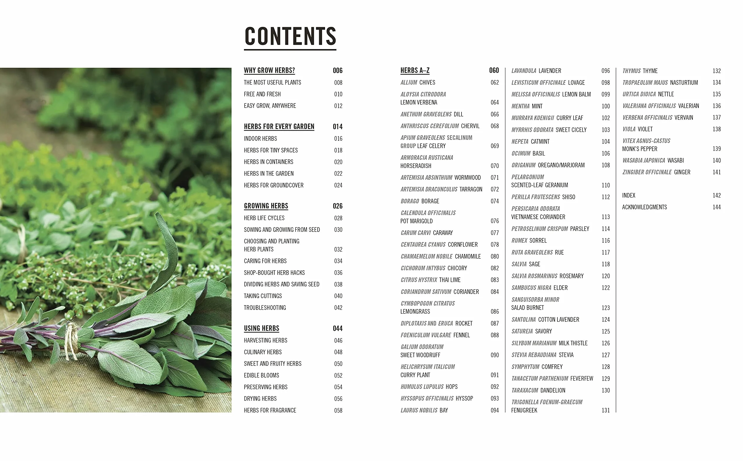 Grow Herbs: Essential Know-how and Expert Advice for Gardening Success