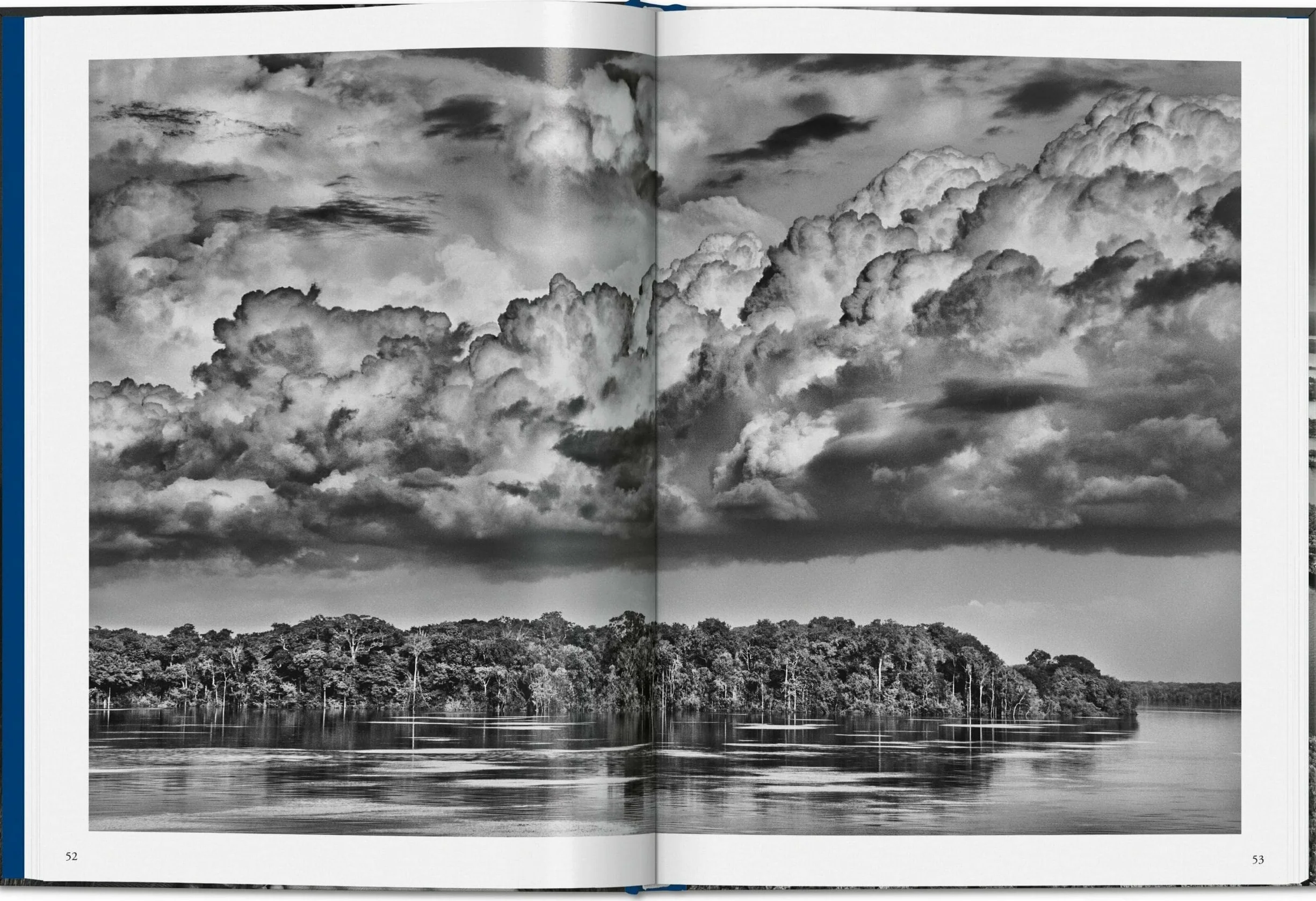 Salgado, Amazônia