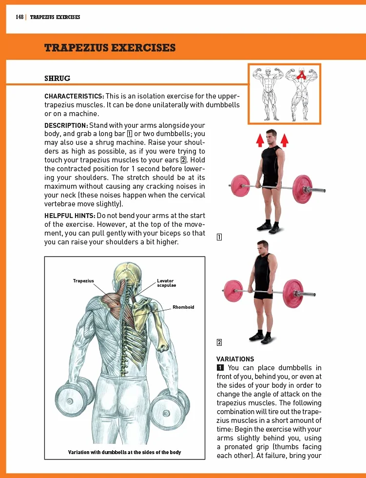 The Strength Training Anatomy Workout II: Building Strength and Power with Free Weights and Machines: v. 2