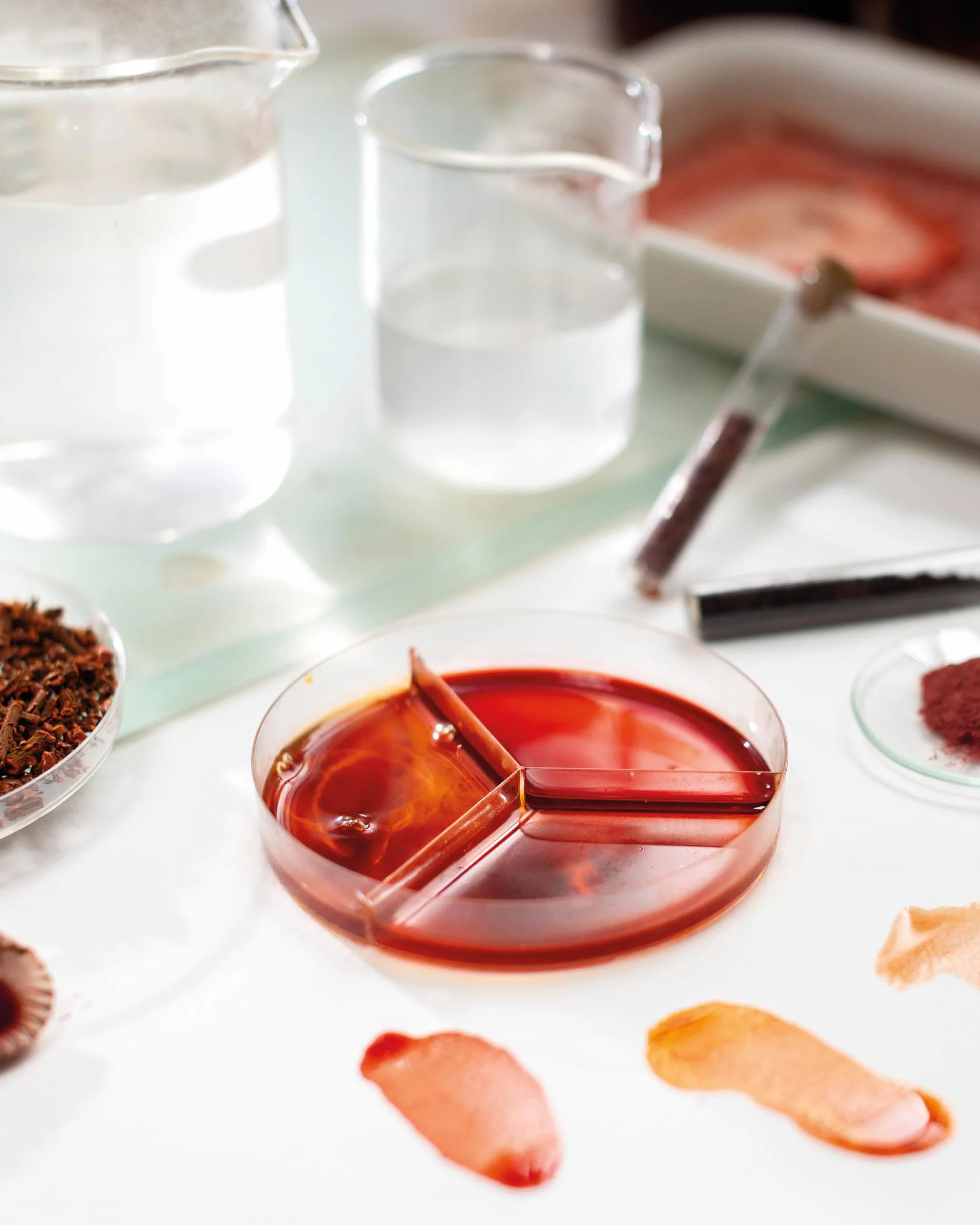 The Natural Pigment Handbook: A Maker's Guide to Art, Stories & Paint Recipes