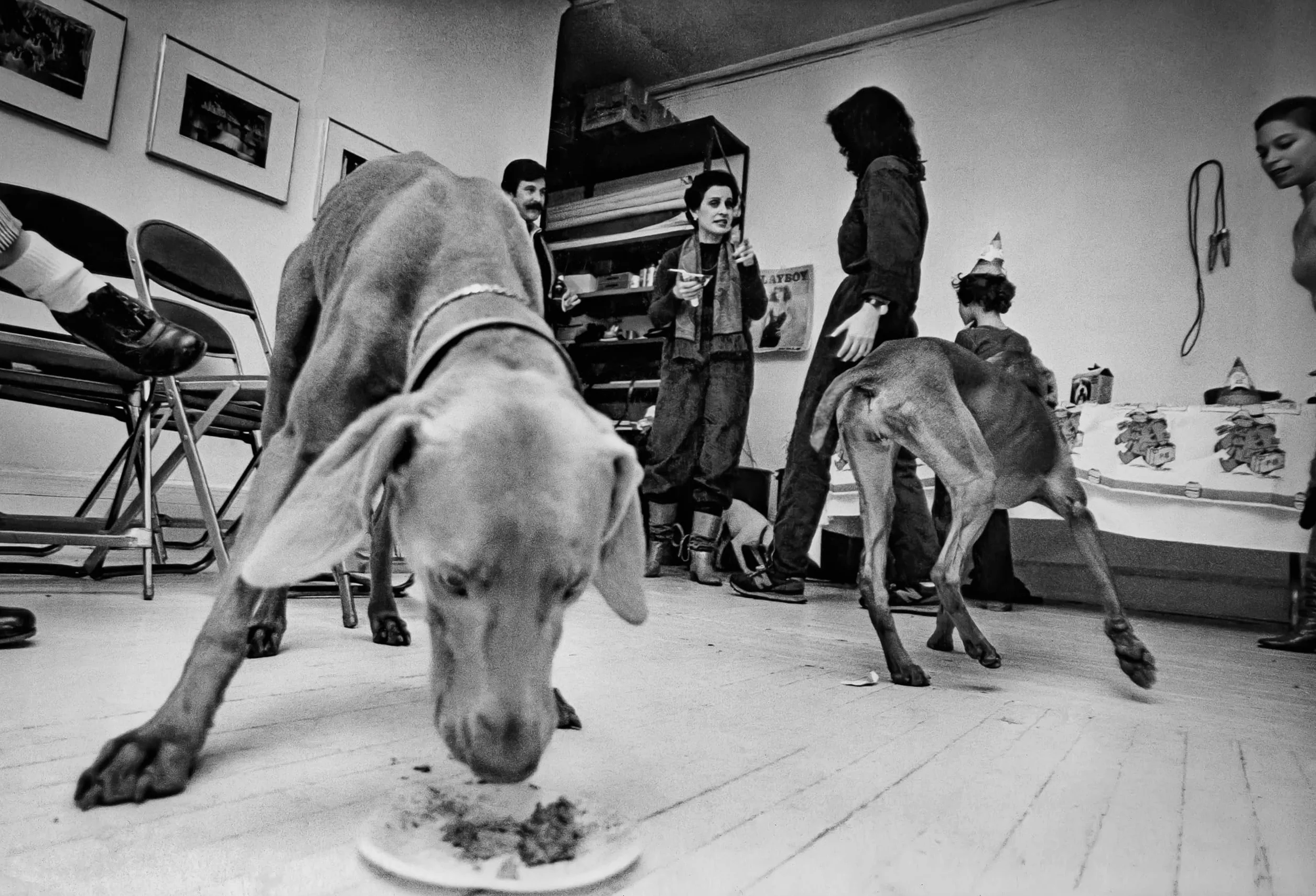 Chelsea Hotel: Portraits from New York's Bohemian Mecca