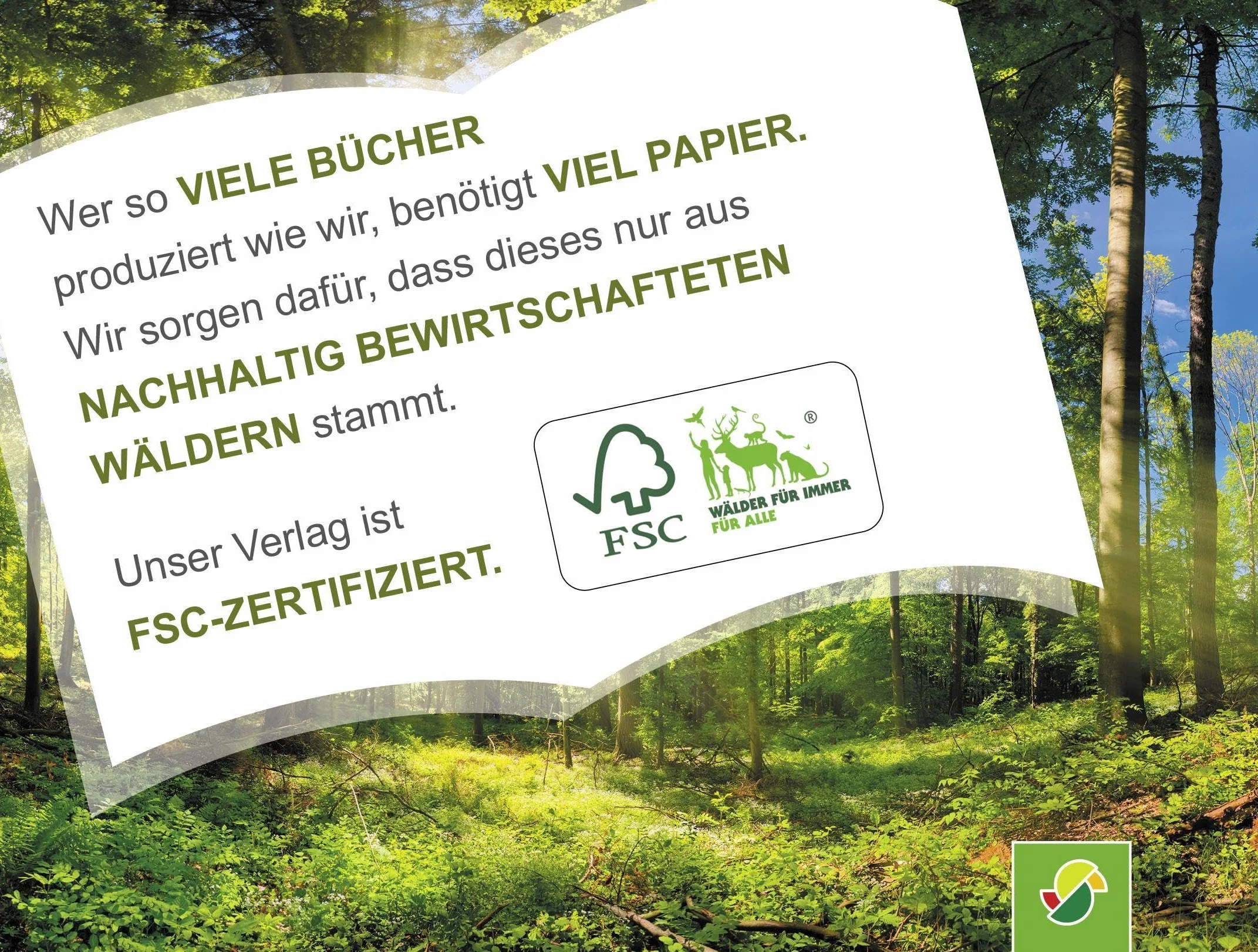 Anne Suess Wimmelbox 3 Wimmelbücher im Schuber