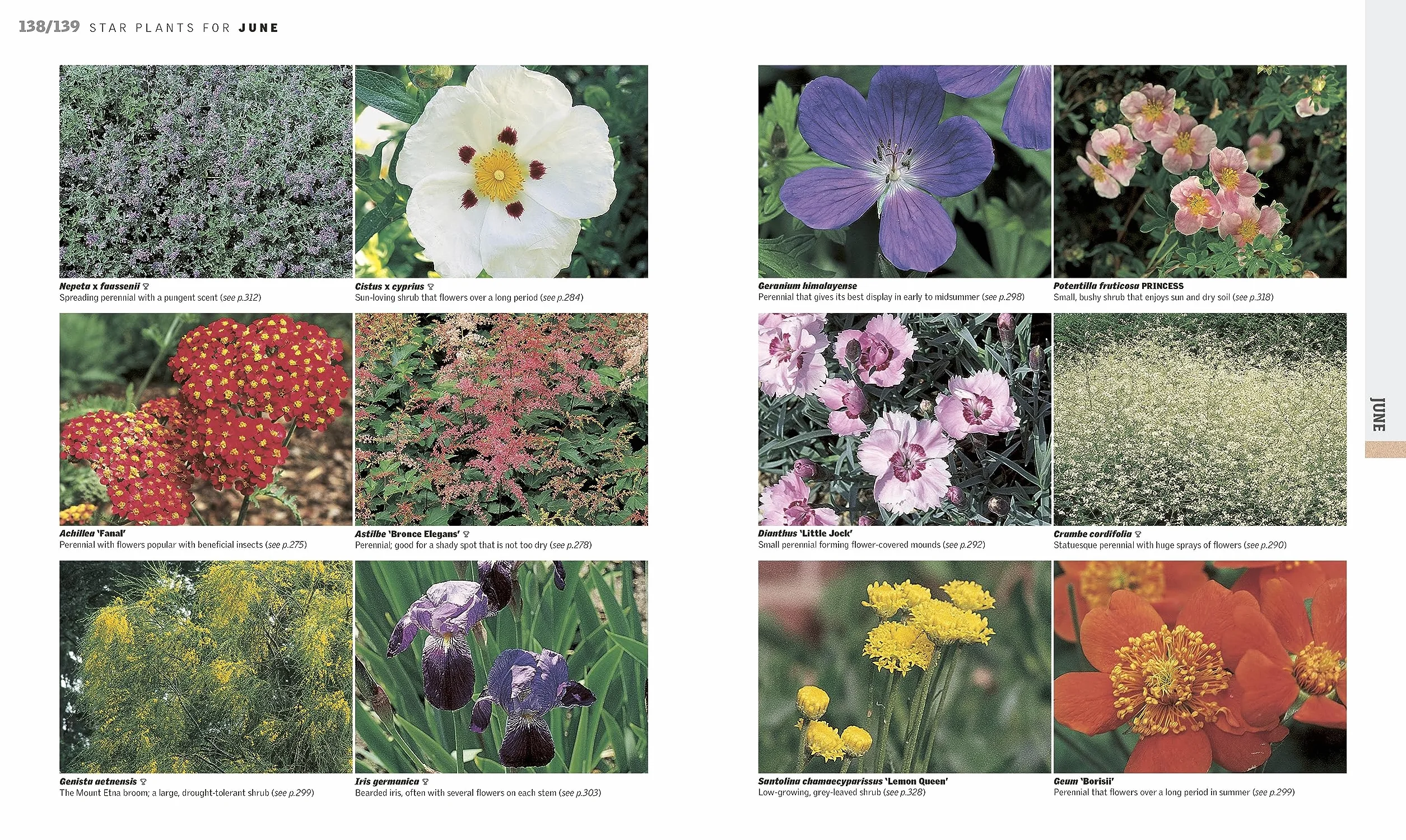 RHS Gardening Through the Year: New Edition Month-by-month Planning Instructions and Inspiration