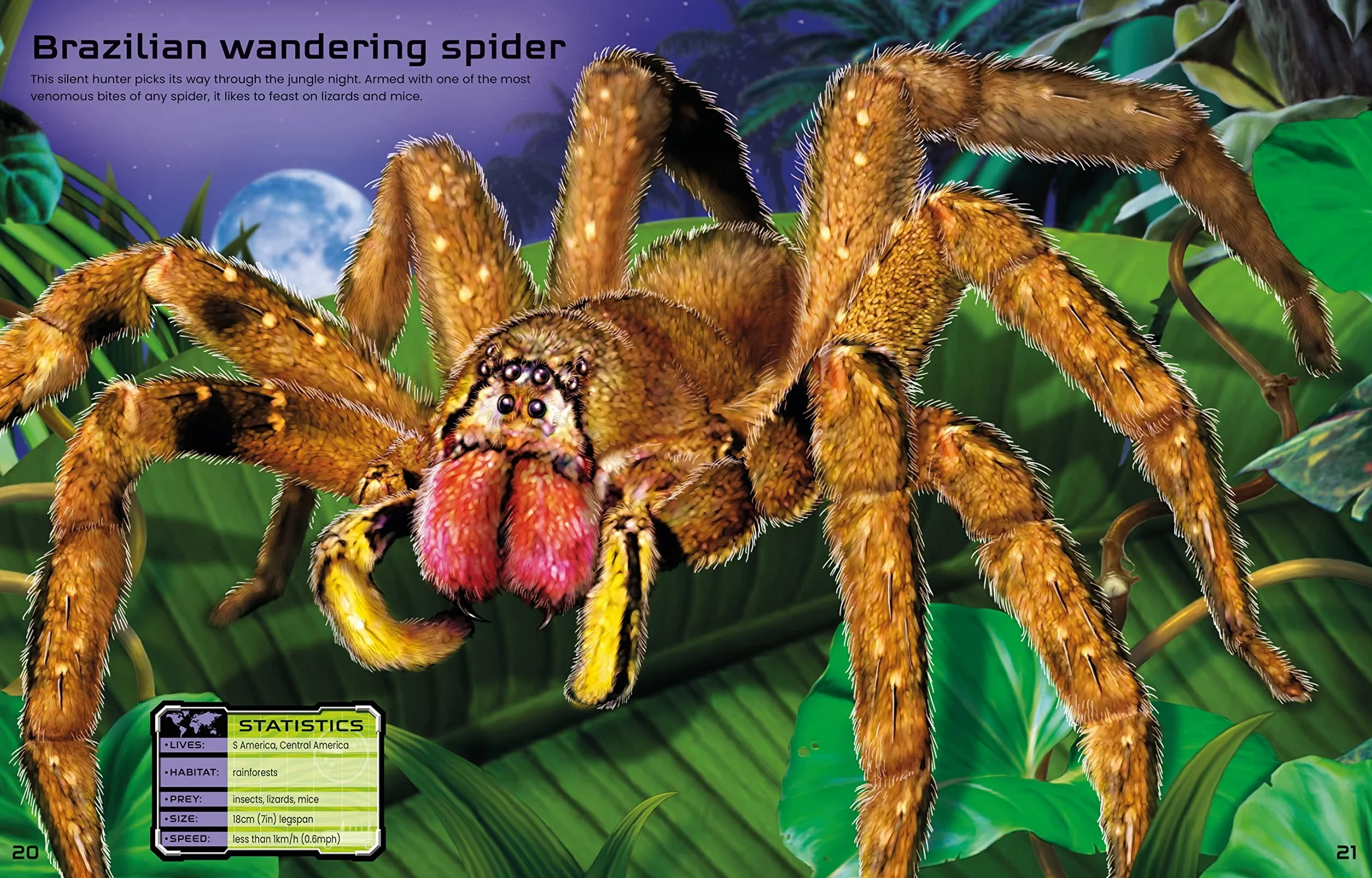 Build Your Own Deadly Animals Sticker Book
