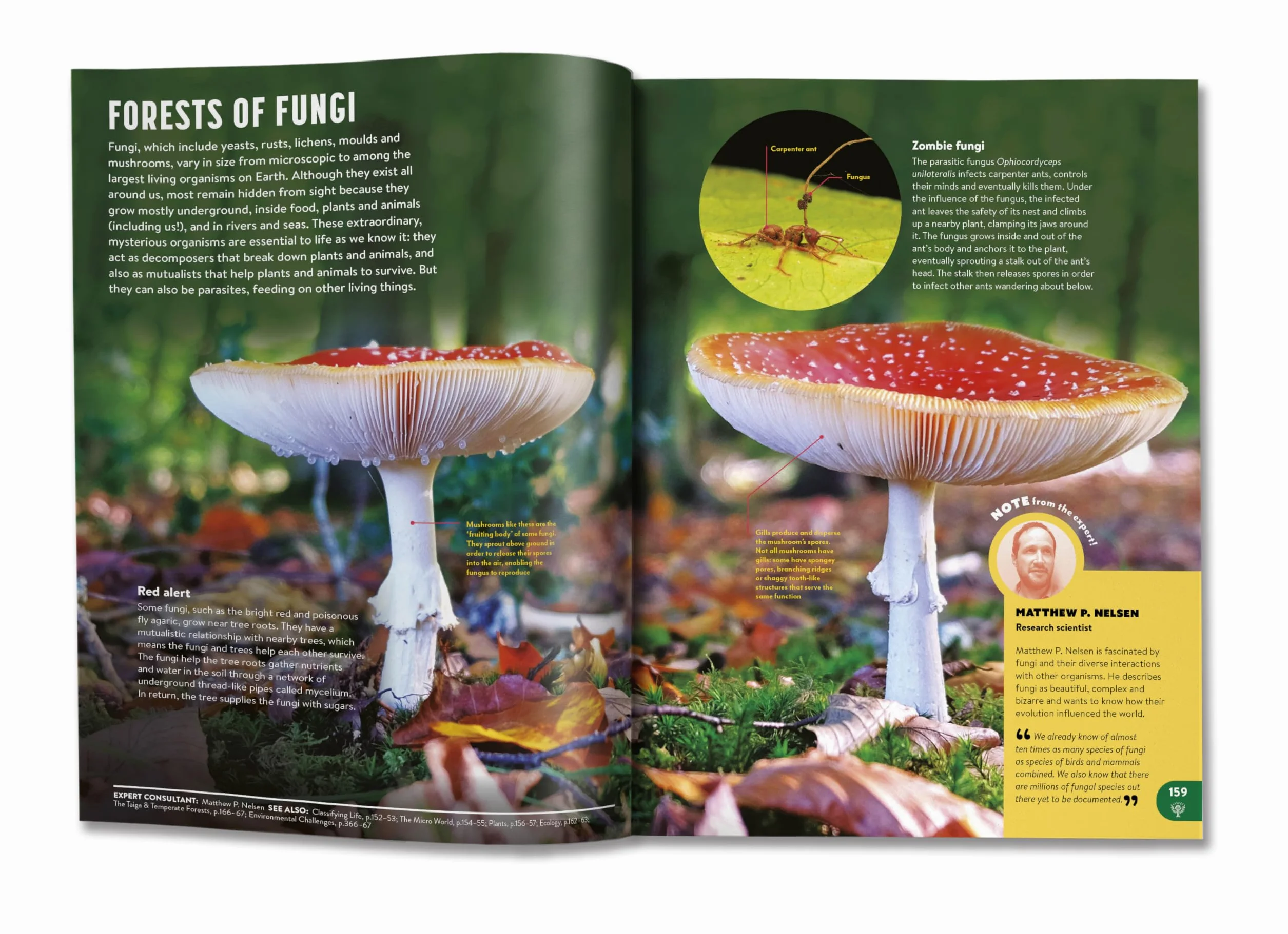 Britannica All New Children's Encyclopedia: What We Know & What We Don't
