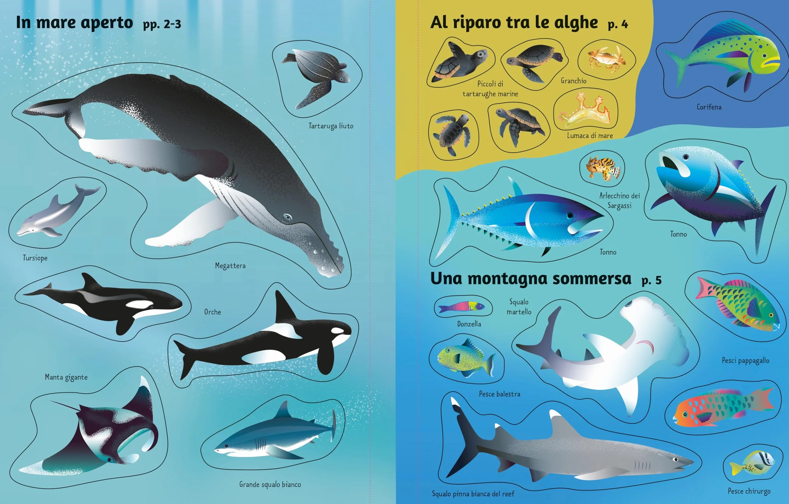 Gli oceani. Con adesivi. Ediz. a colori